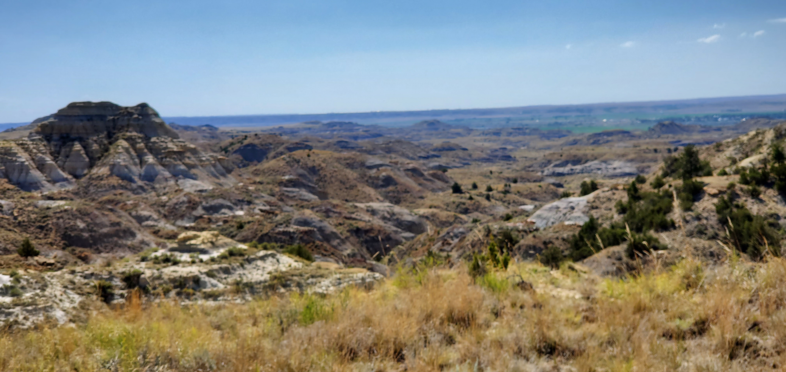 Terry Montana landscape