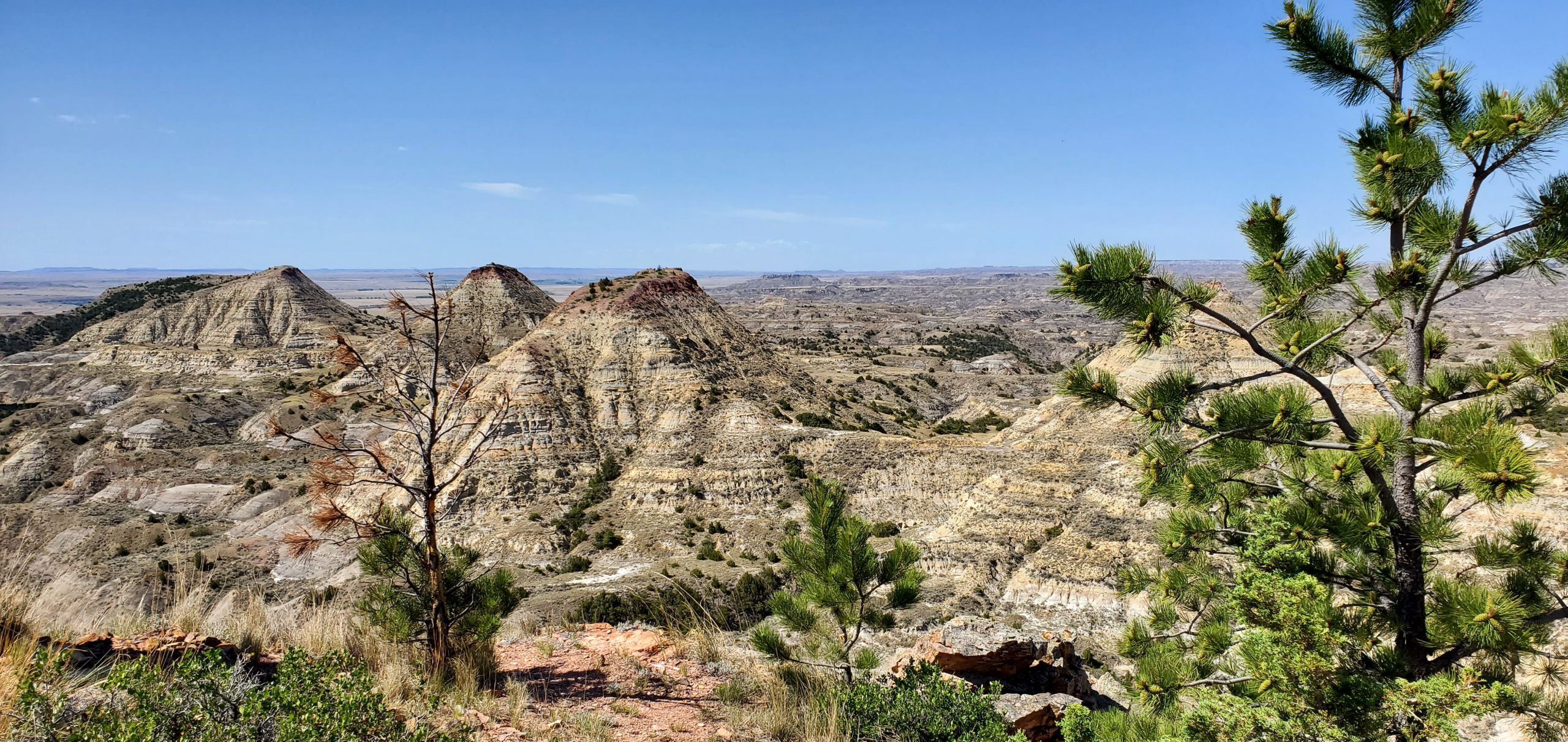 Terry, Montana Badlands Landscape
