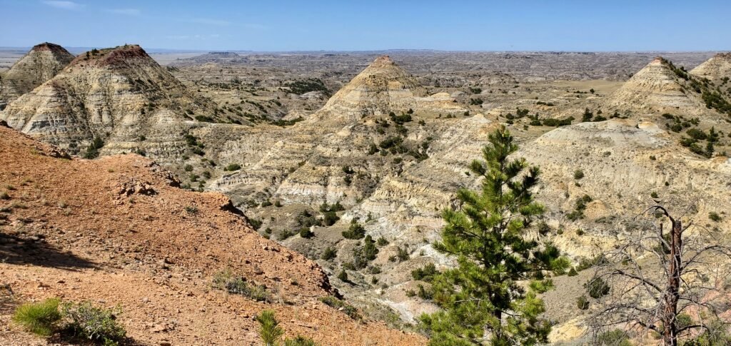 Terry Montana blog post