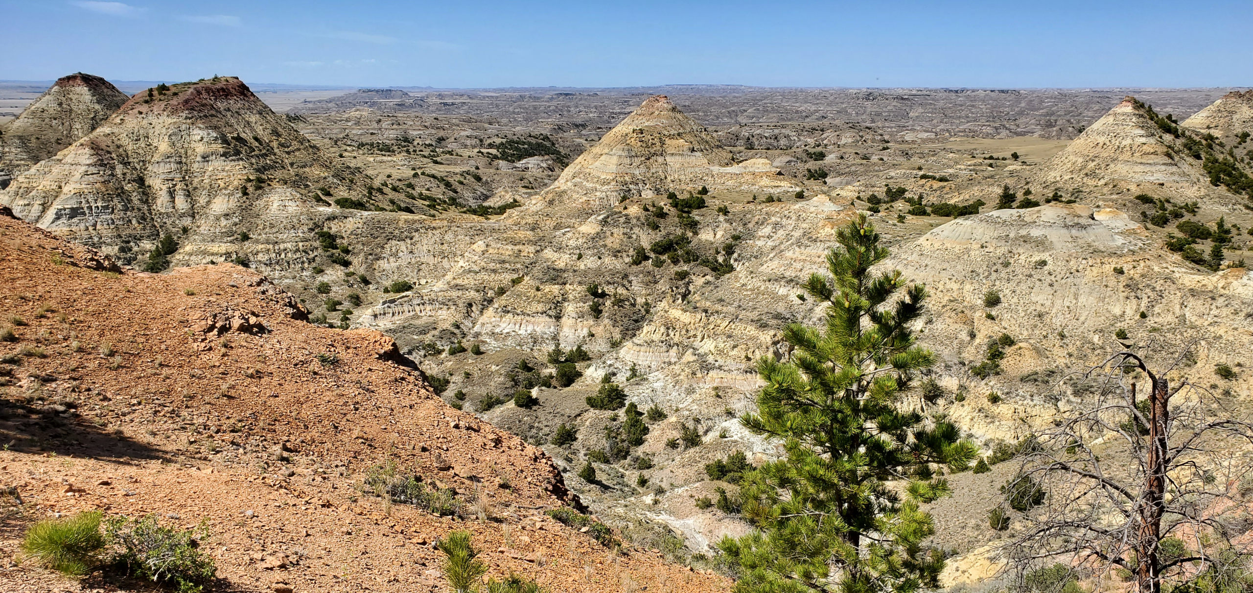 Terry Montana Badlands view