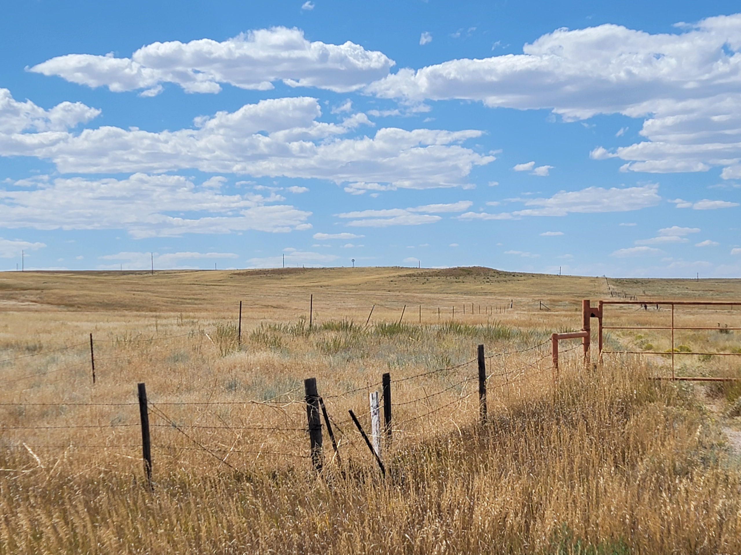 The plains and keep my heart in Nebraska