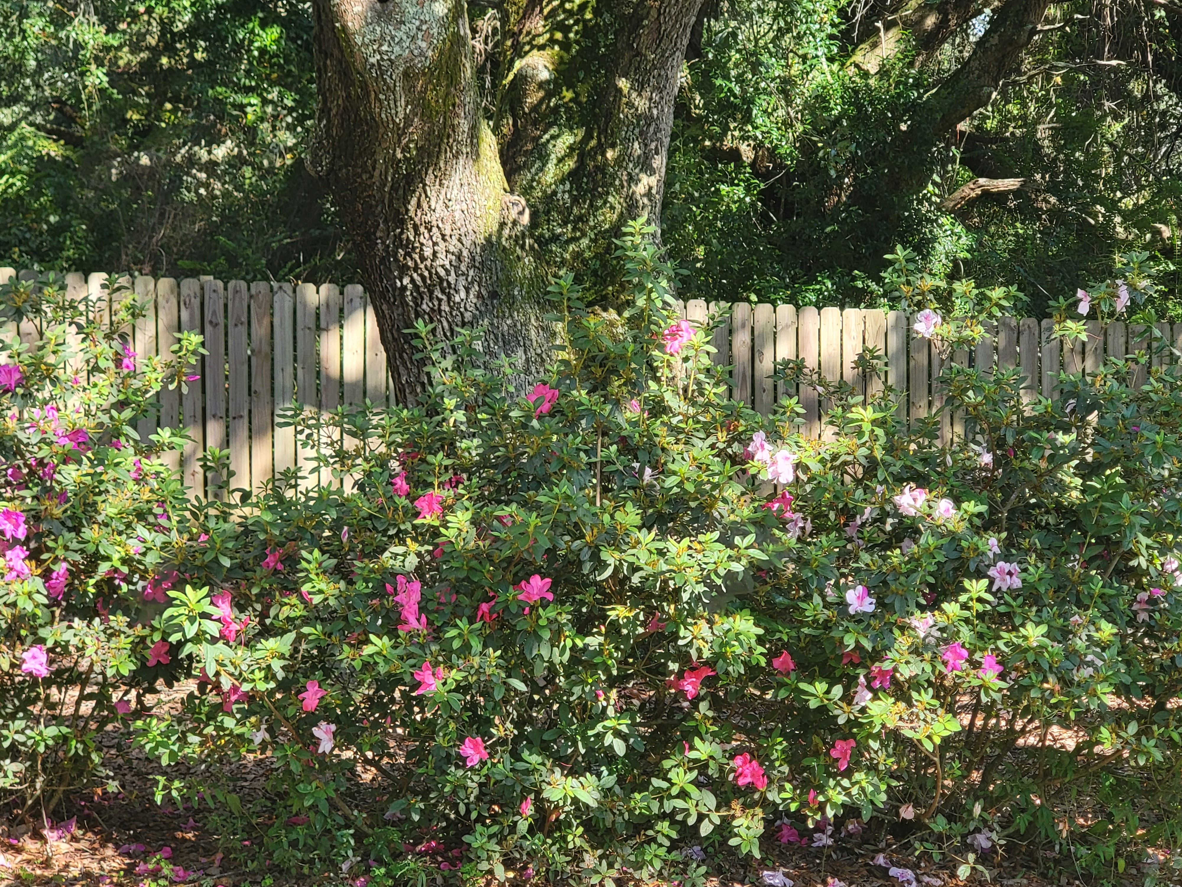 Salty St. Augustine blog post