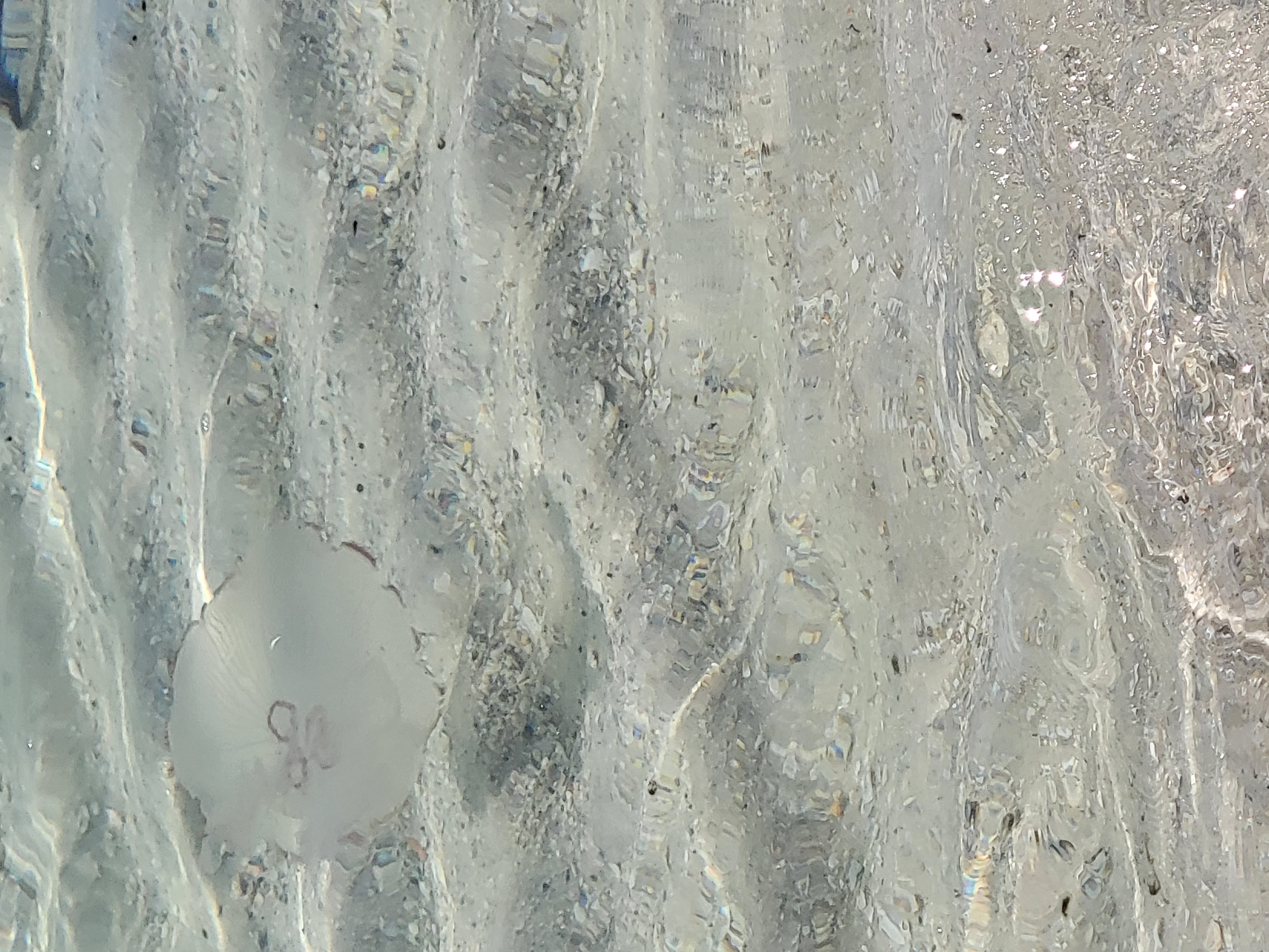 Salty St. Augustine blog post