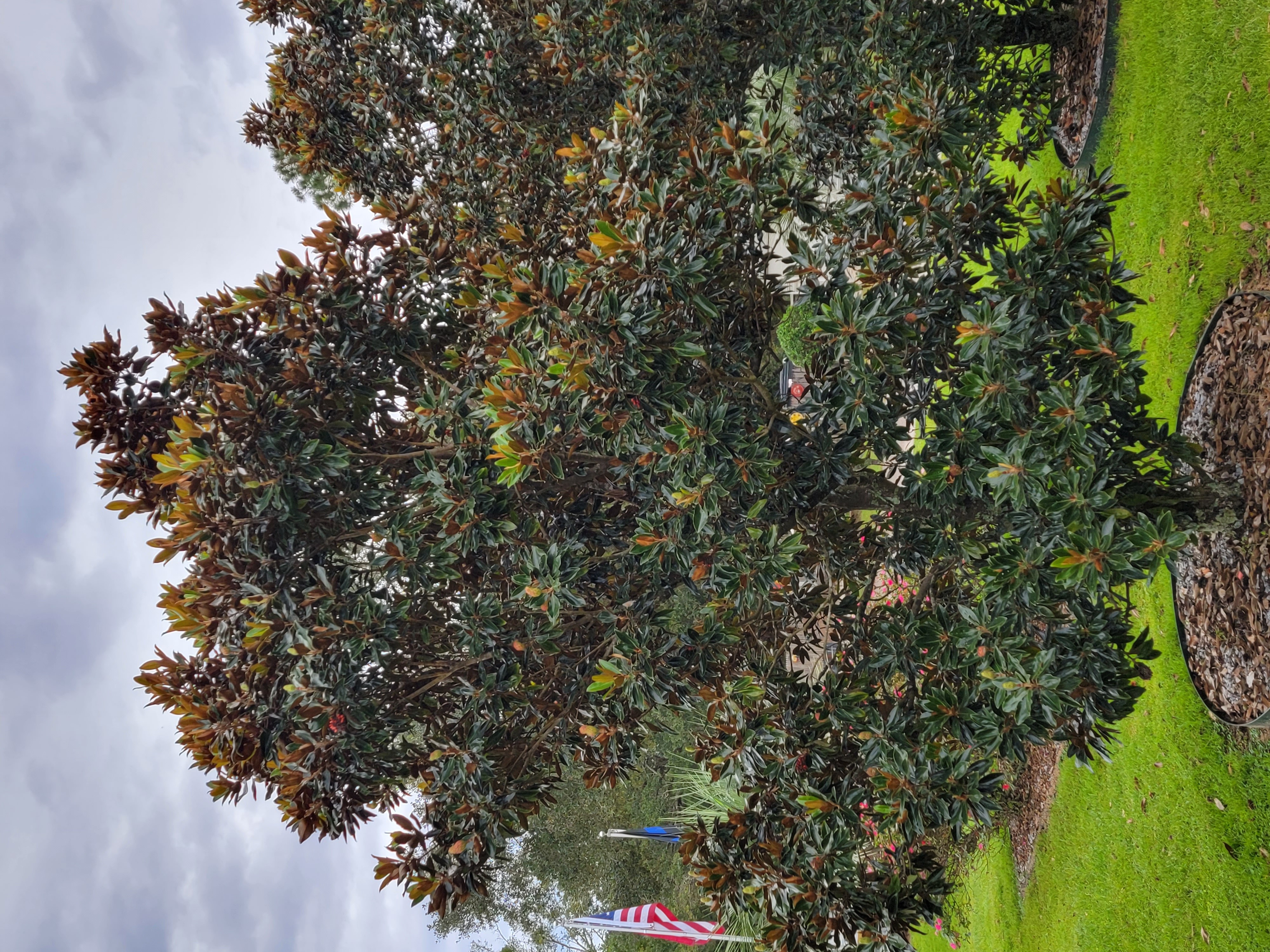 Salty St. Augustine blog post