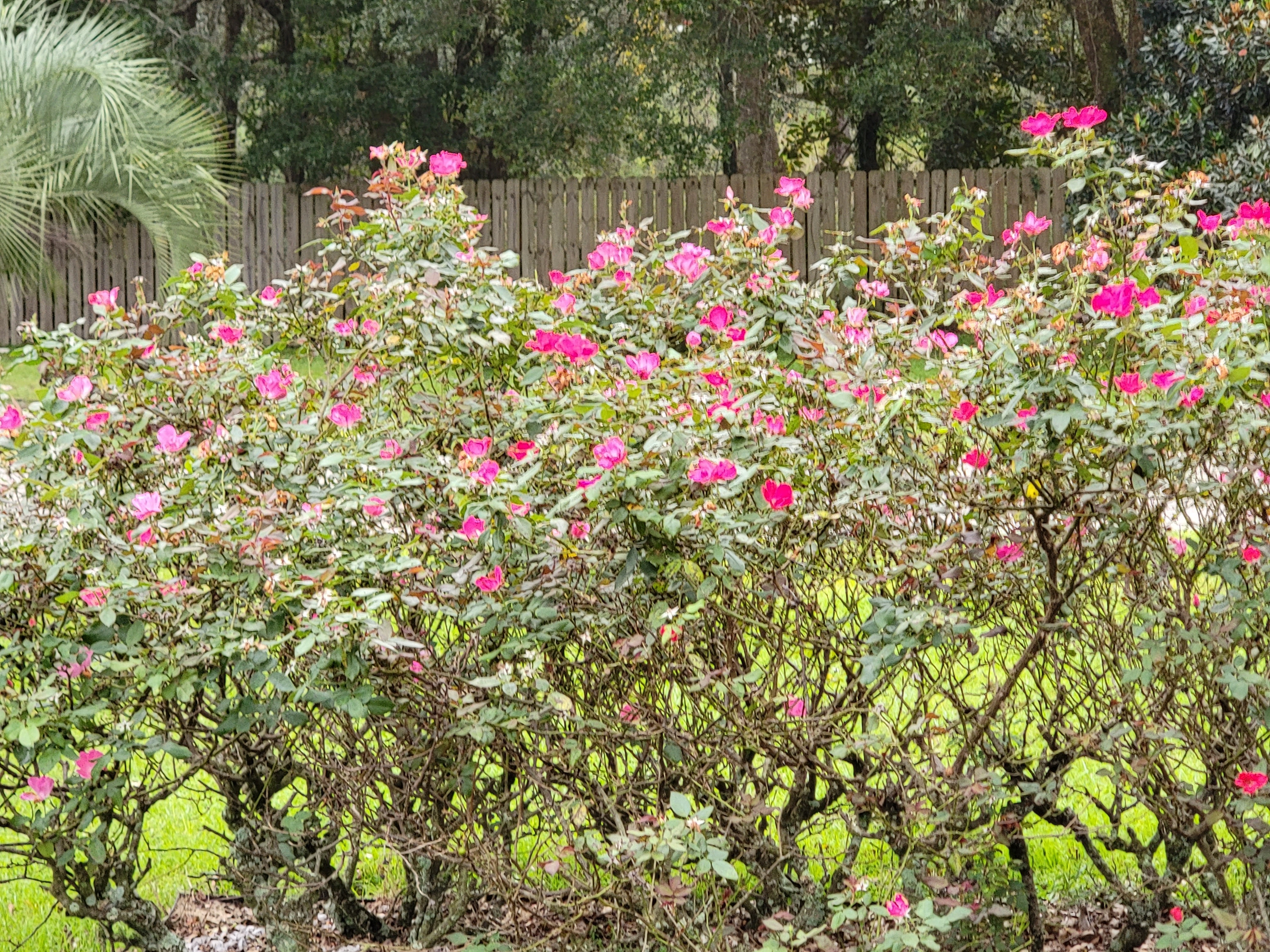Salty St. Augustine blog post