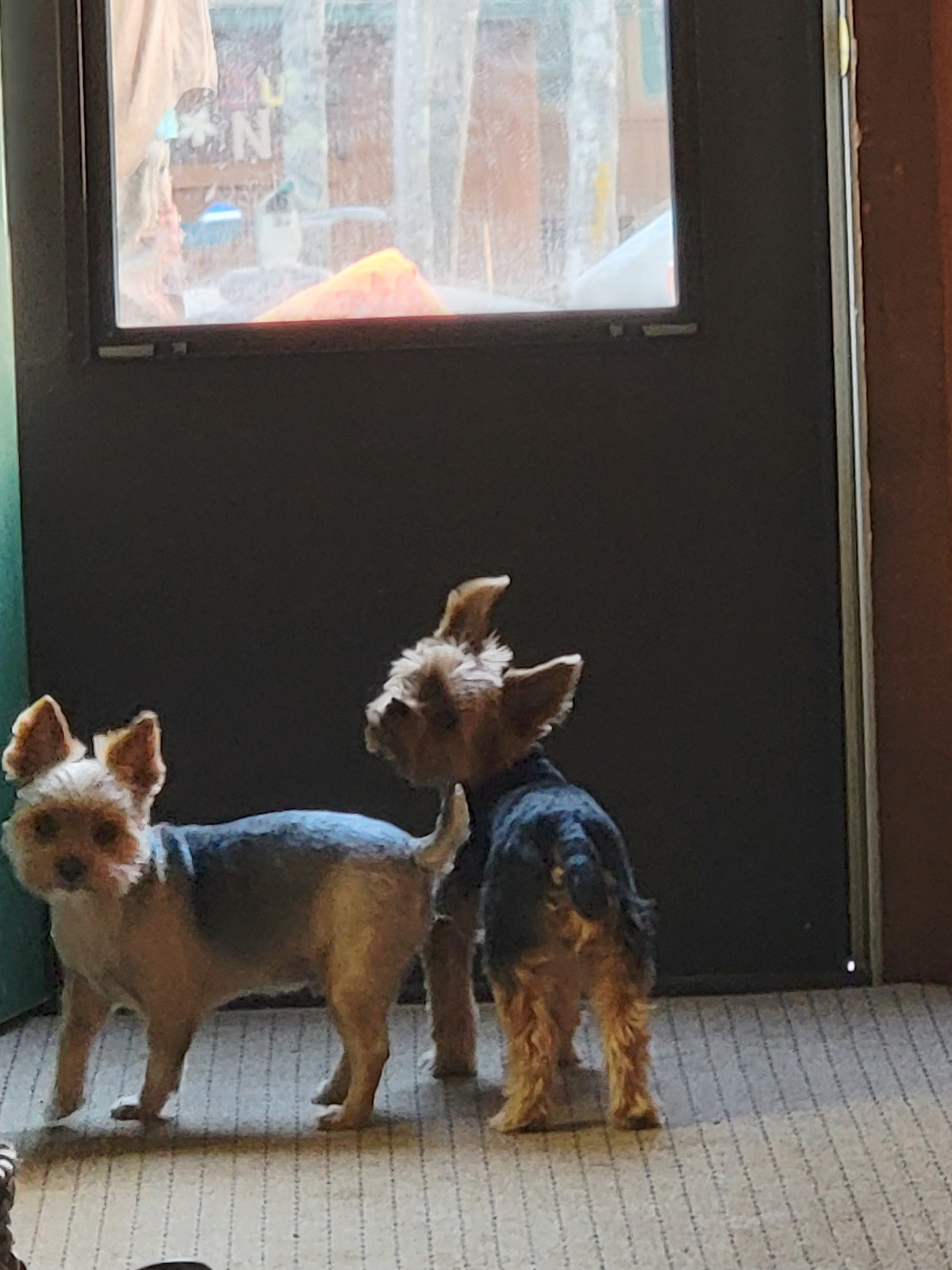 Thankful at Thanksgiving blog post