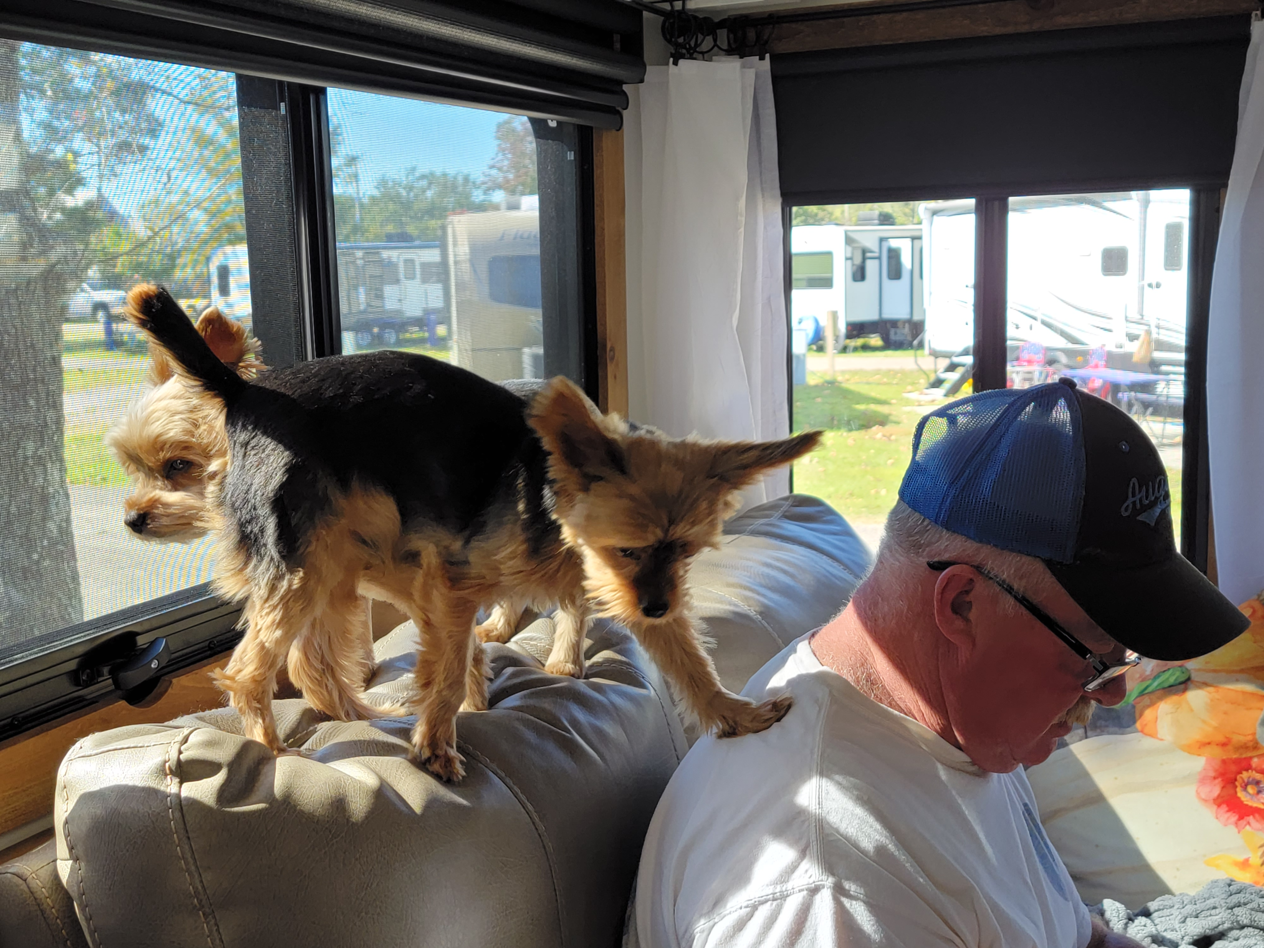 Thankful at Thanksgiving blog post