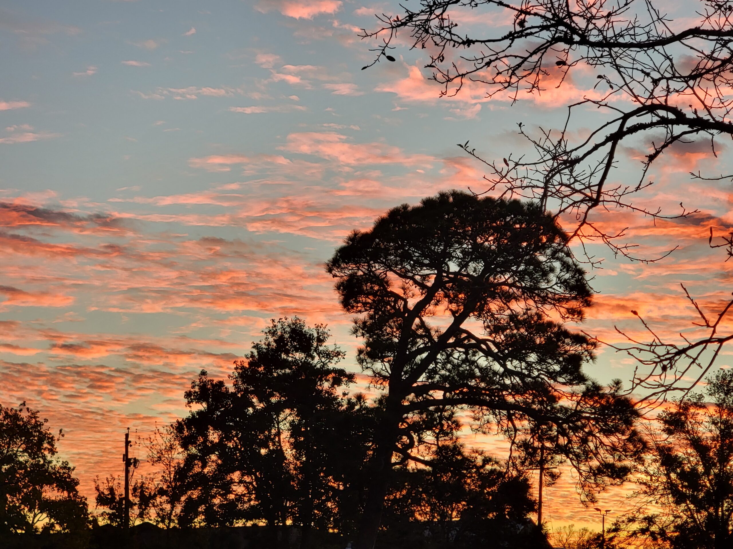 Missing Mississippi blog post