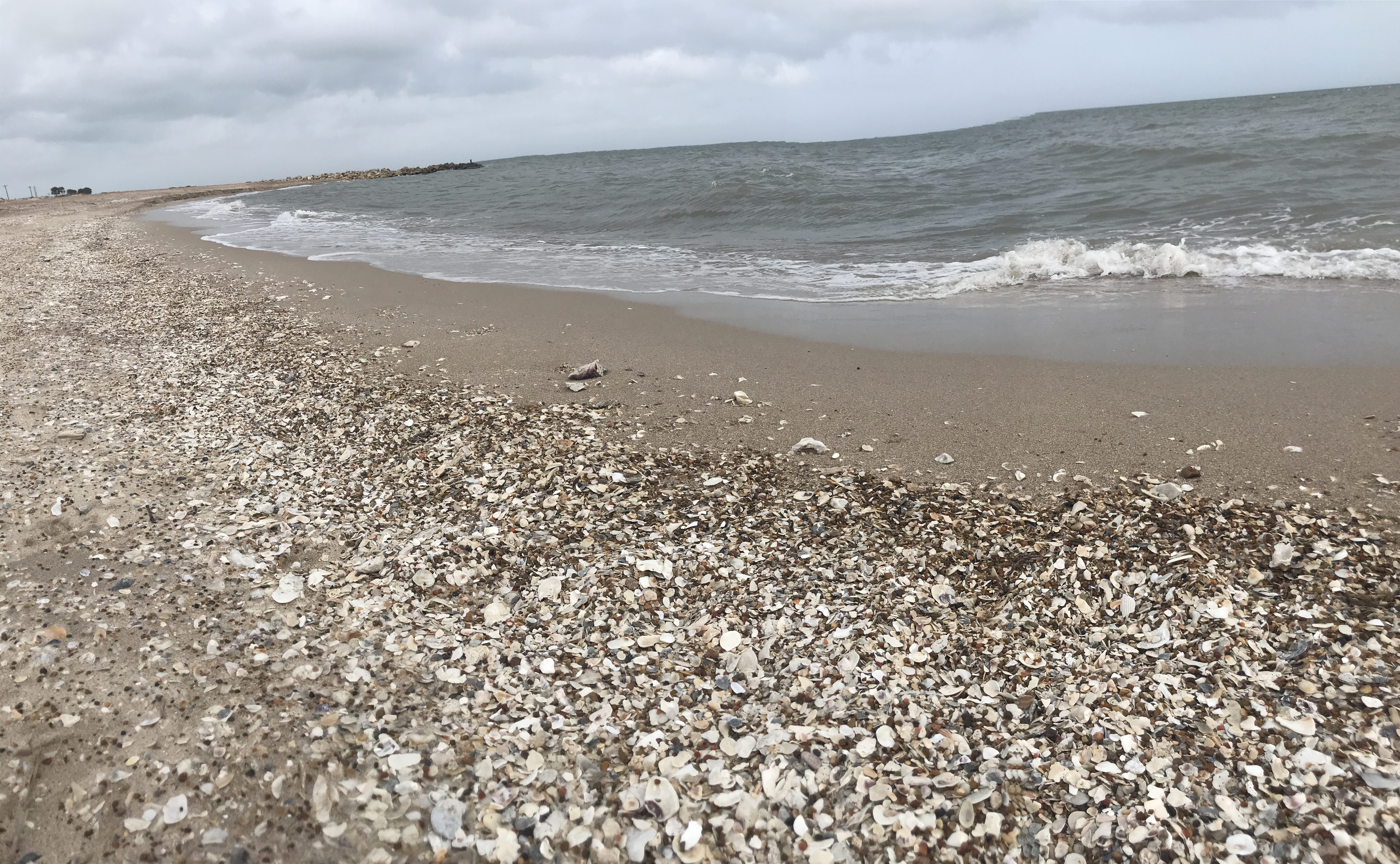 Texas gulf of America view