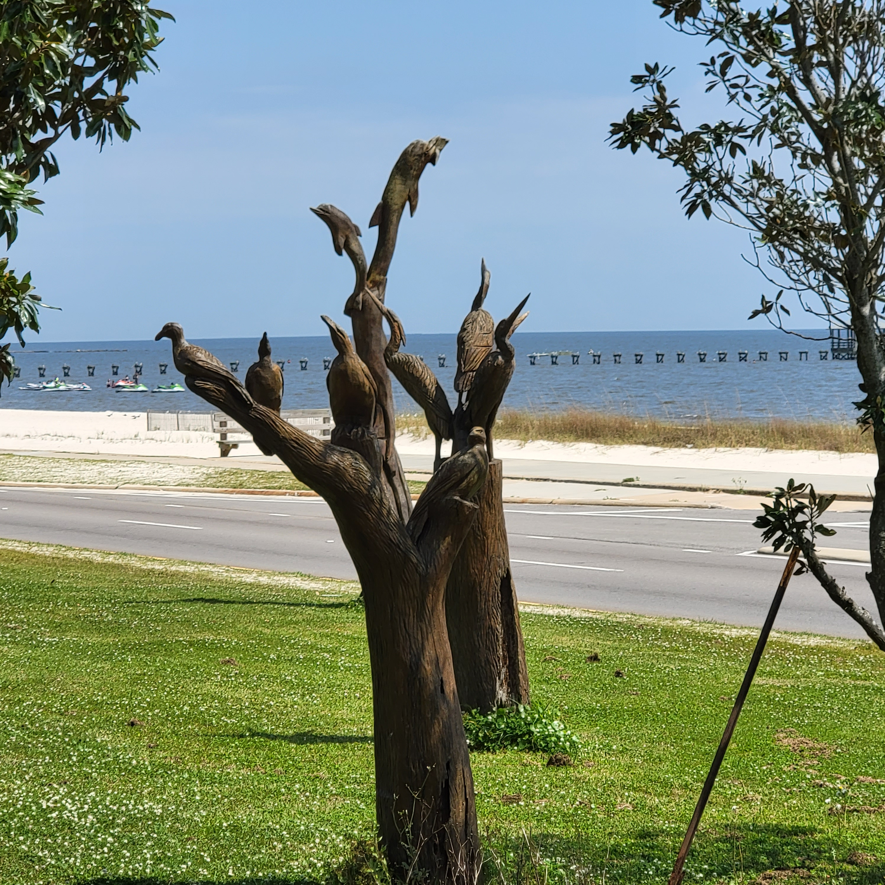 Biloxi Mississippi carved boulevard trees after hurricane