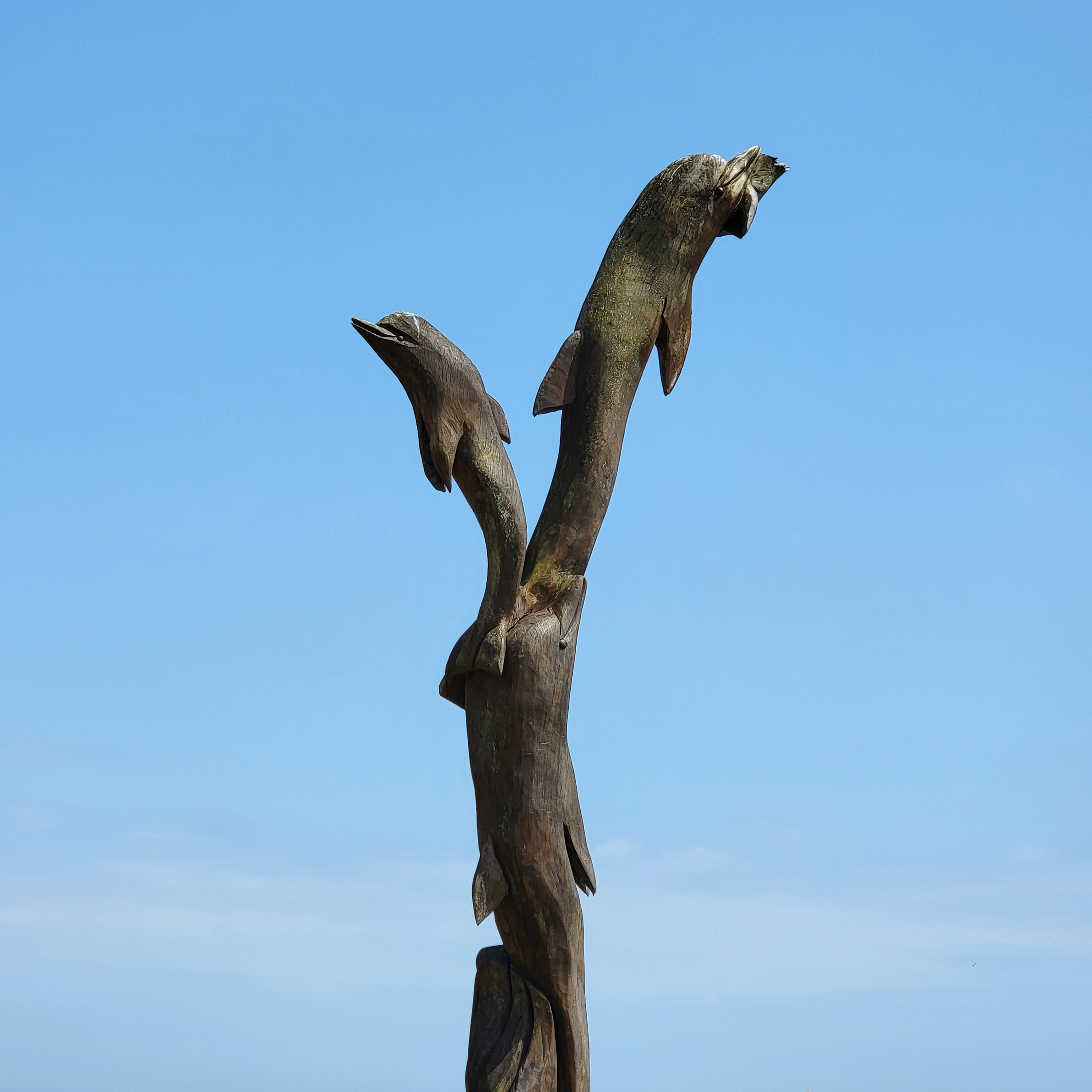 Biloxi Mississippi boulevard trees carved after hurricane