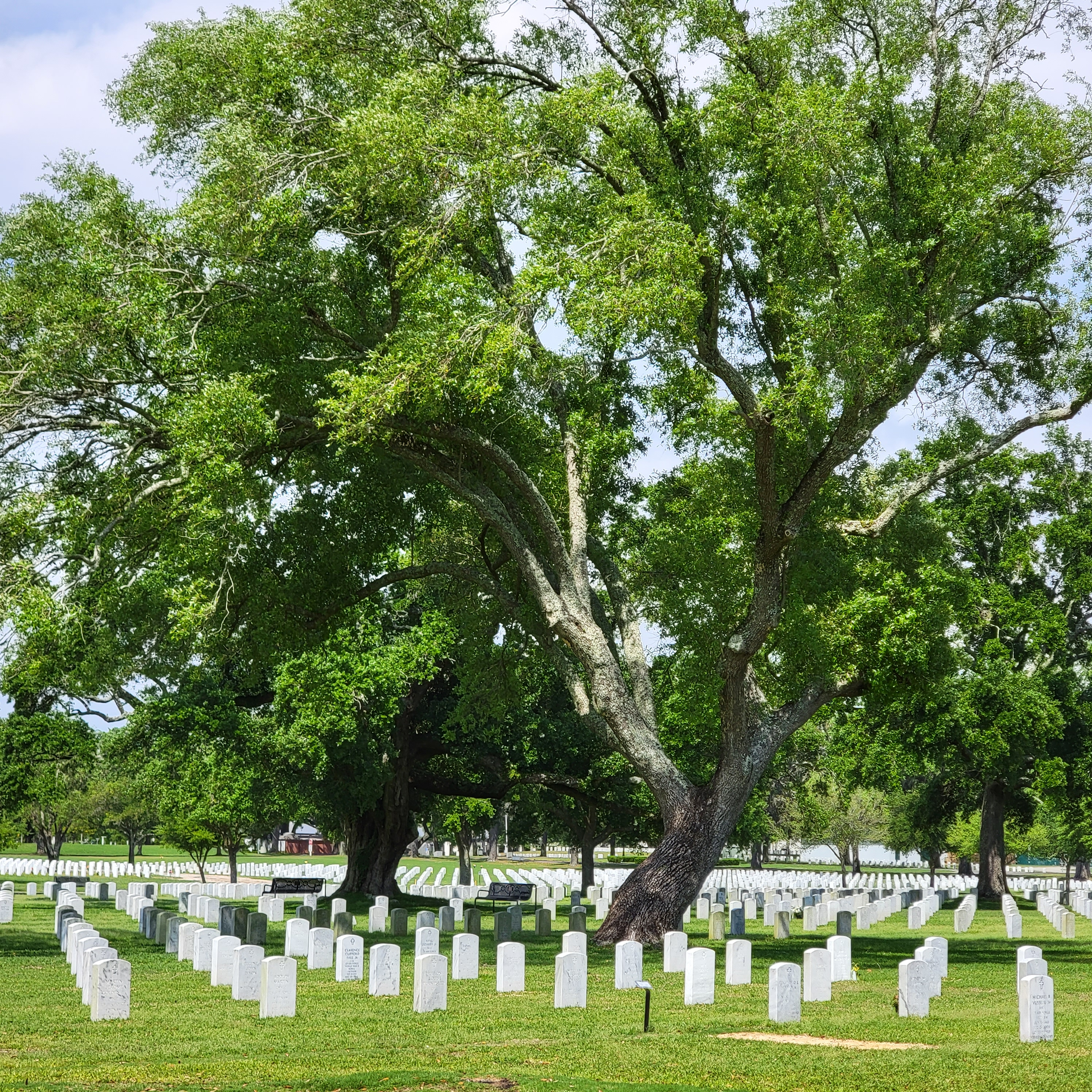 Biloxi Mississippi Veterans cemetery