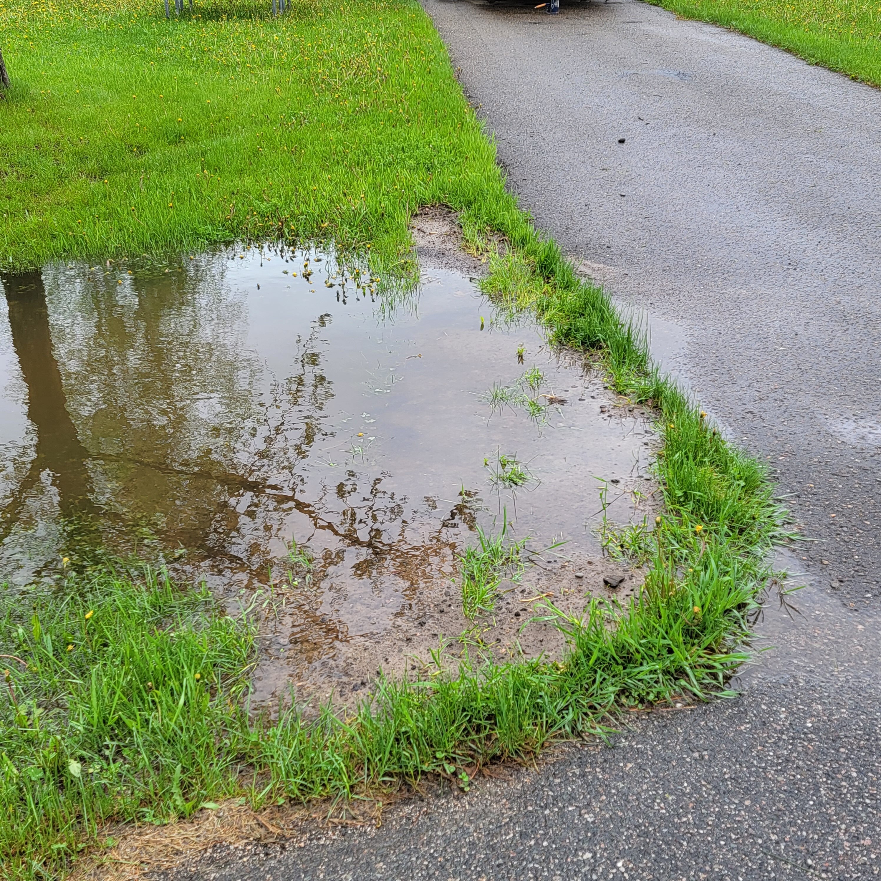 Lots of water in Nashwauk, MN in the spring