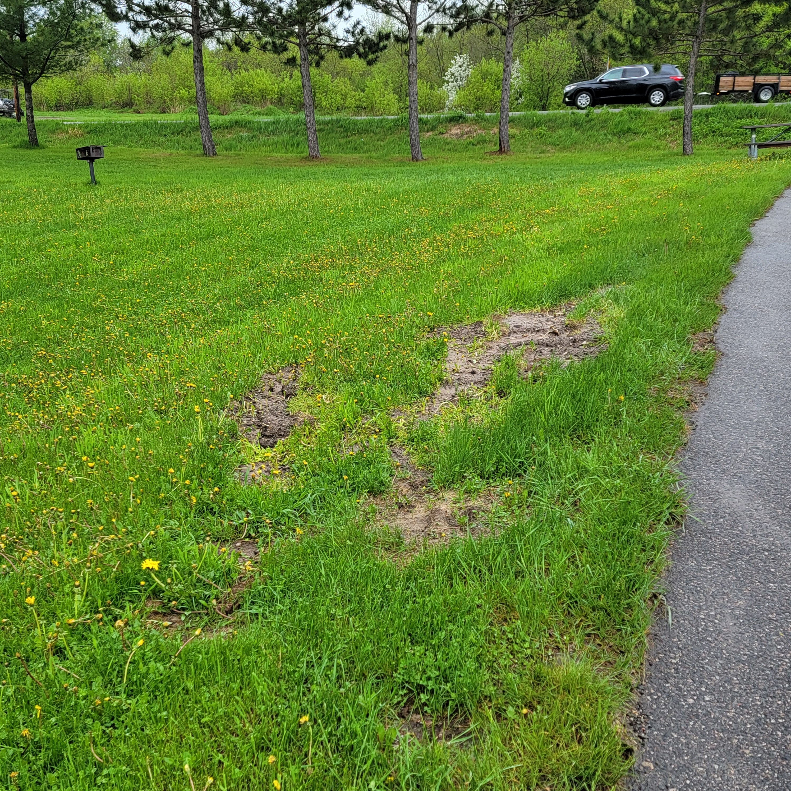 Trying to back an RV up in the mud and a bad angle on the tar in the park