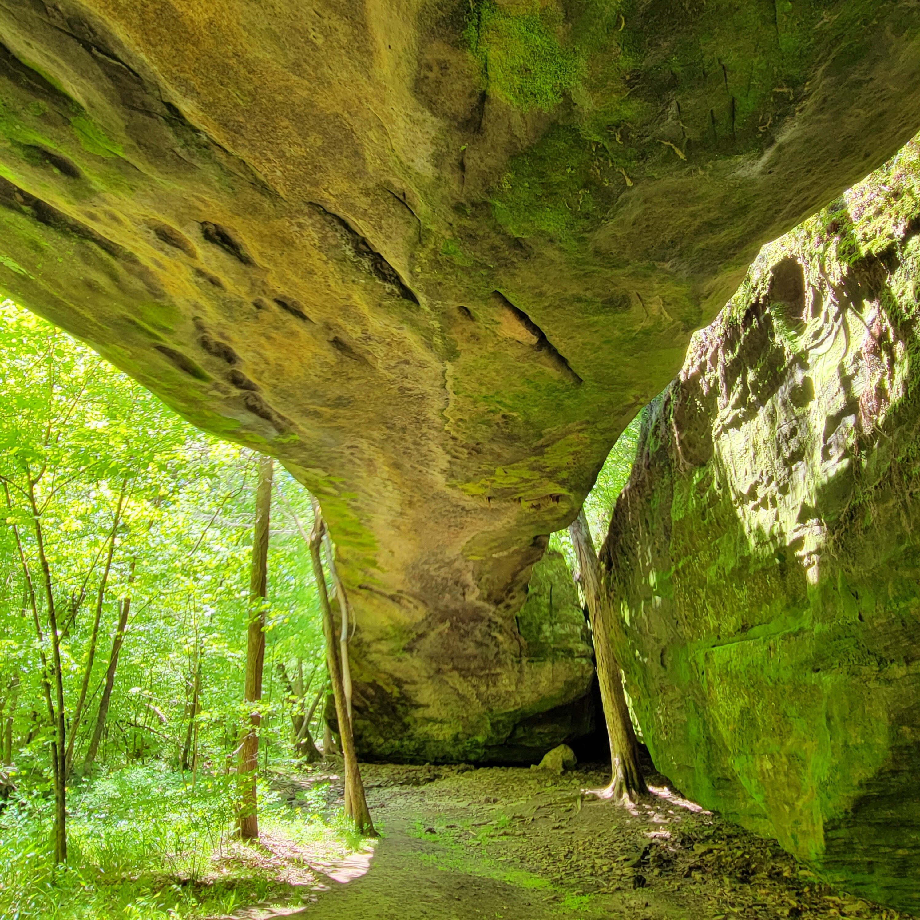 Mantle Rock Park - natural limestone bridge