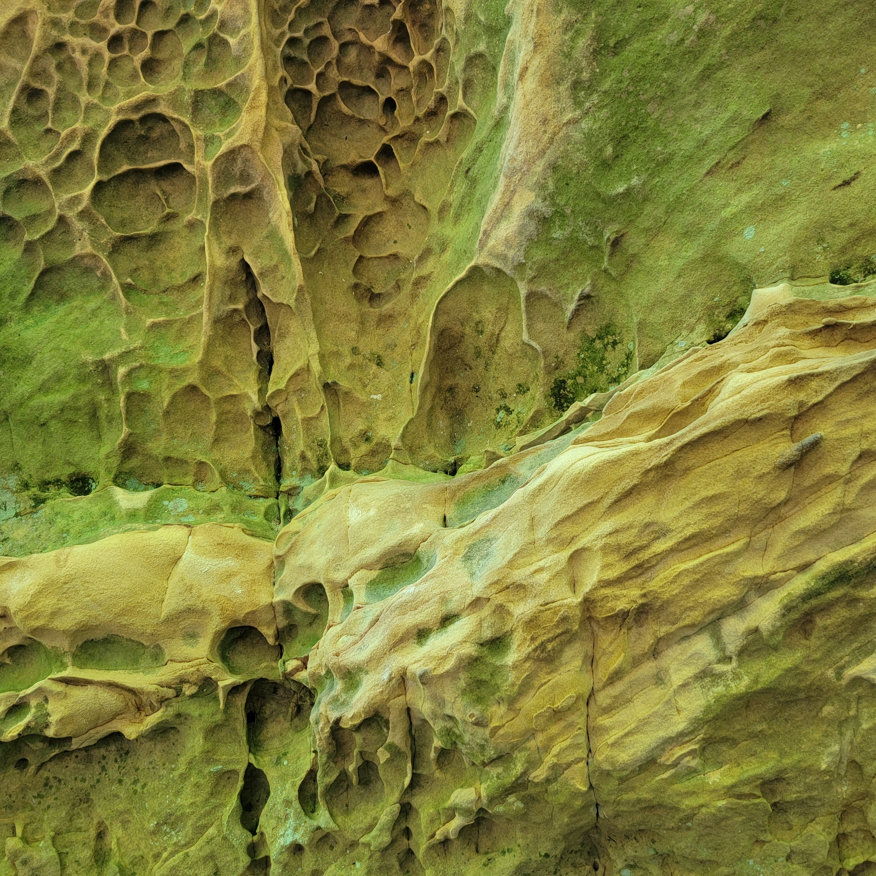 Finding faces in the rock in Mantle Rock park
