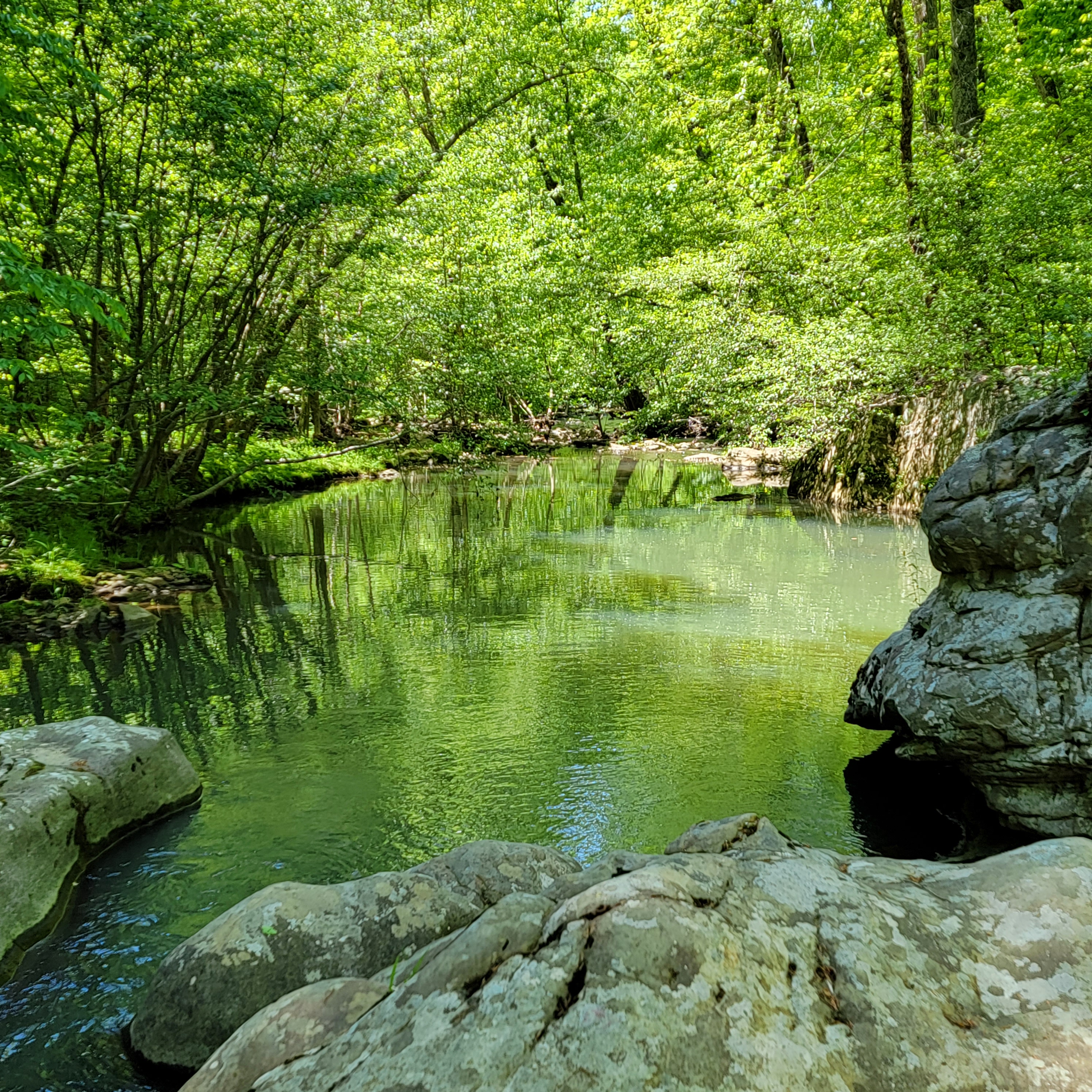 Mantle Rock Park just outside of Birdsville, KY