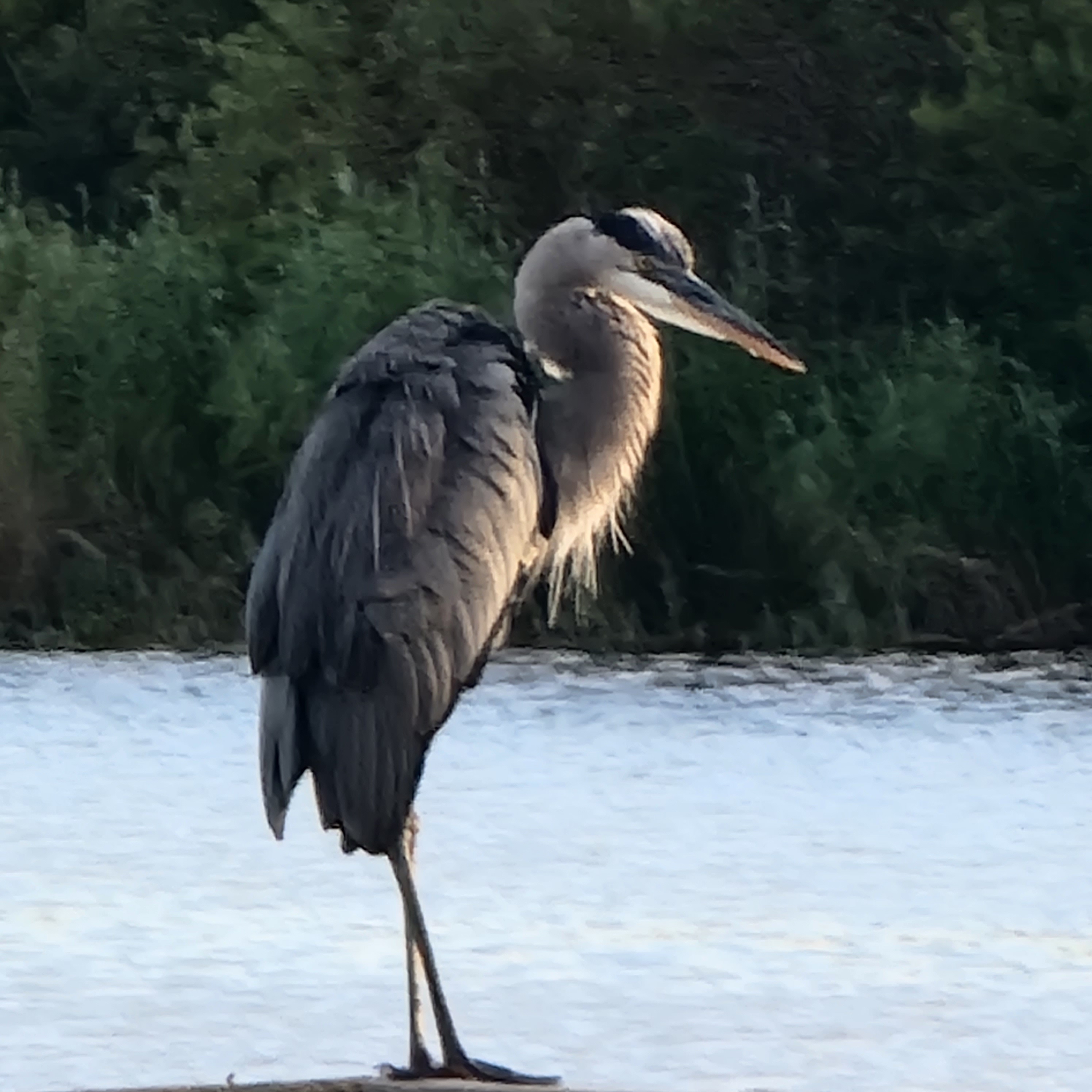 Large crane along Okeechobee