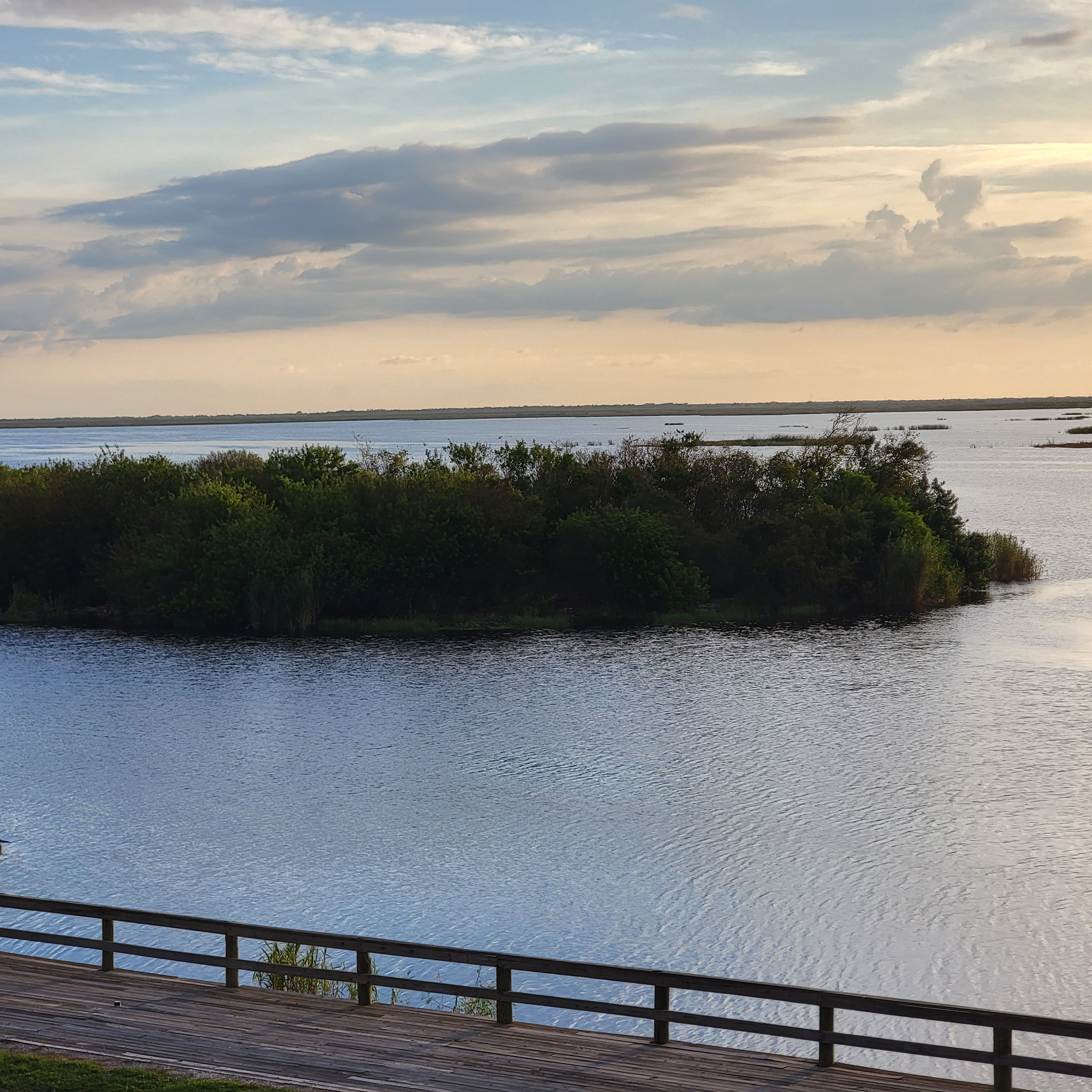 Lake Okeechobee Florida view from shore