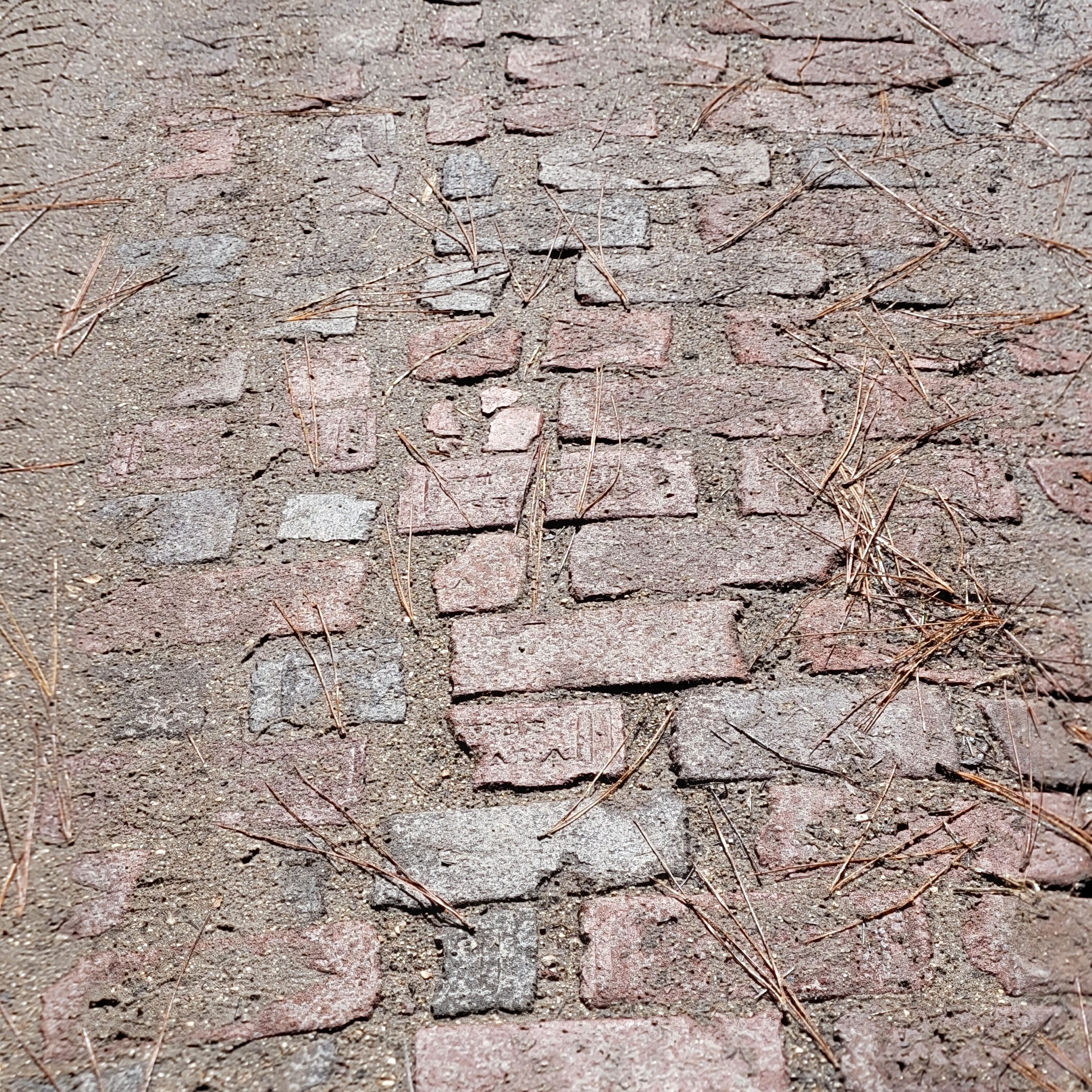The old brick road of middle Florida - view of bricks