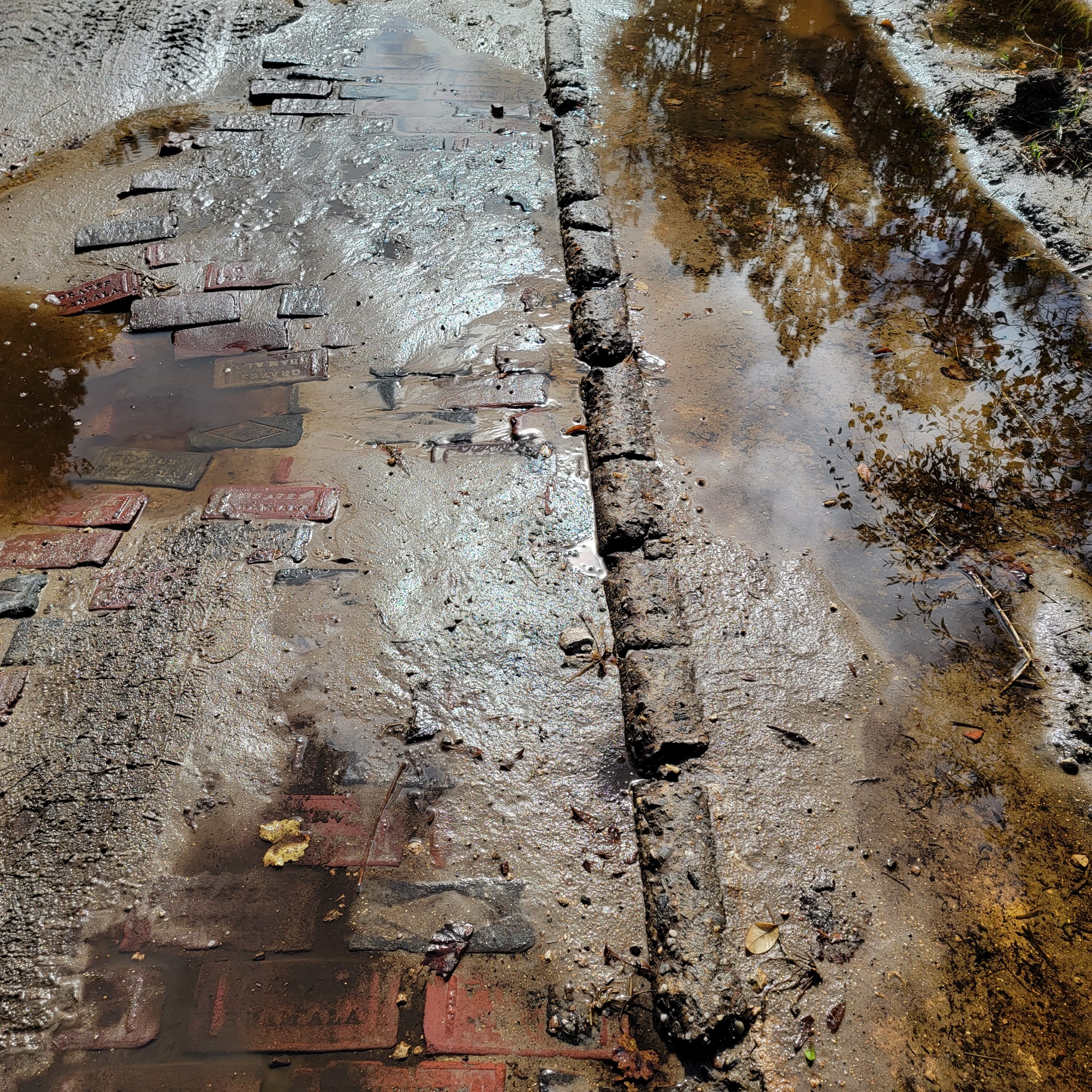 The old brick road of Florida surrounded by mud