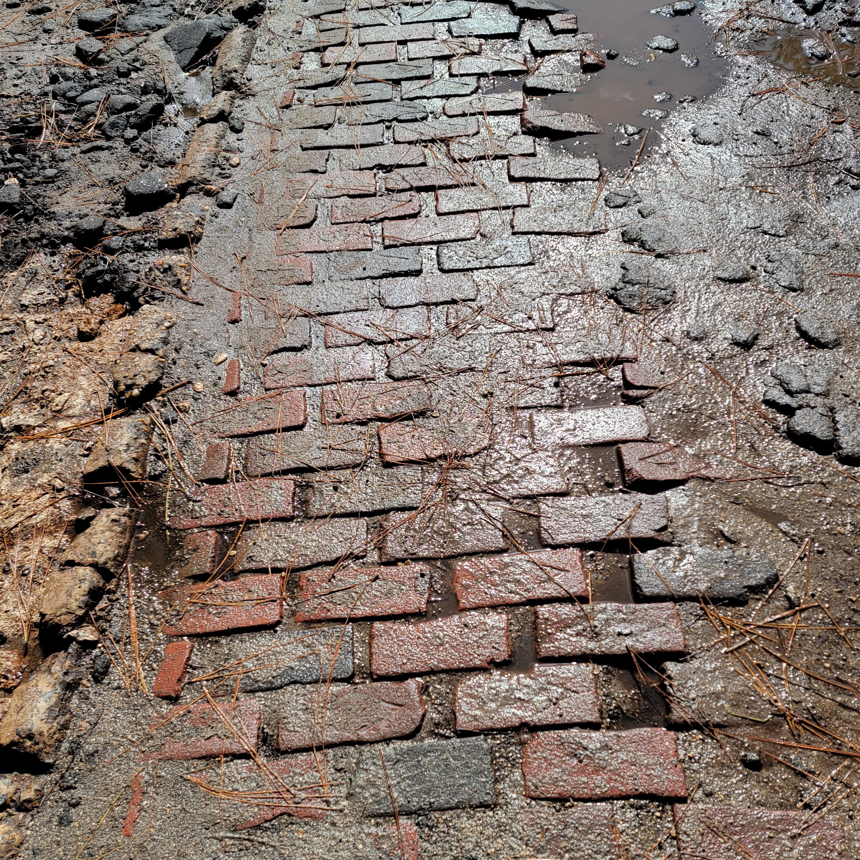 The old brick road of middle Florida