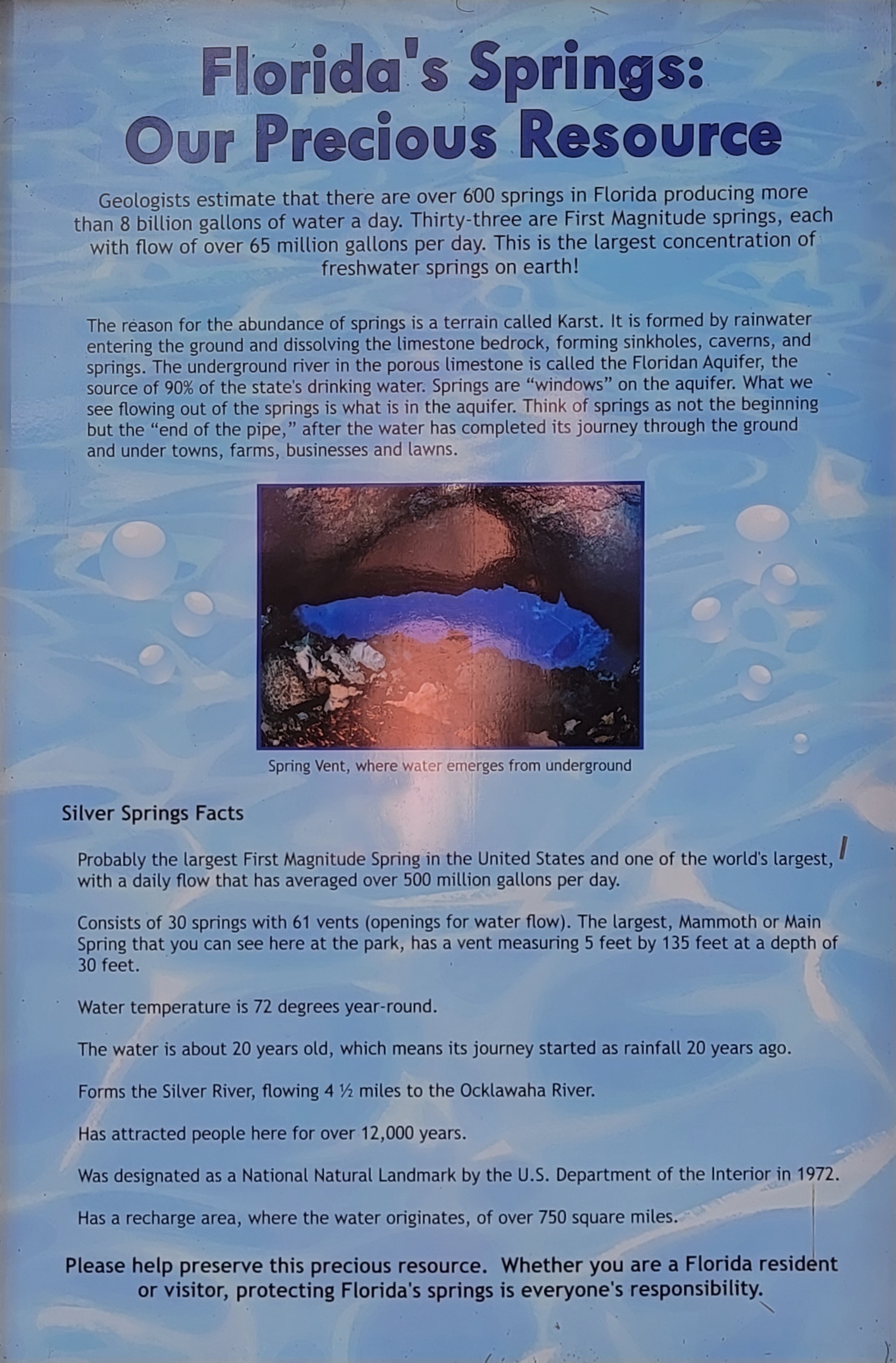 Florida in the spring pamphlet
