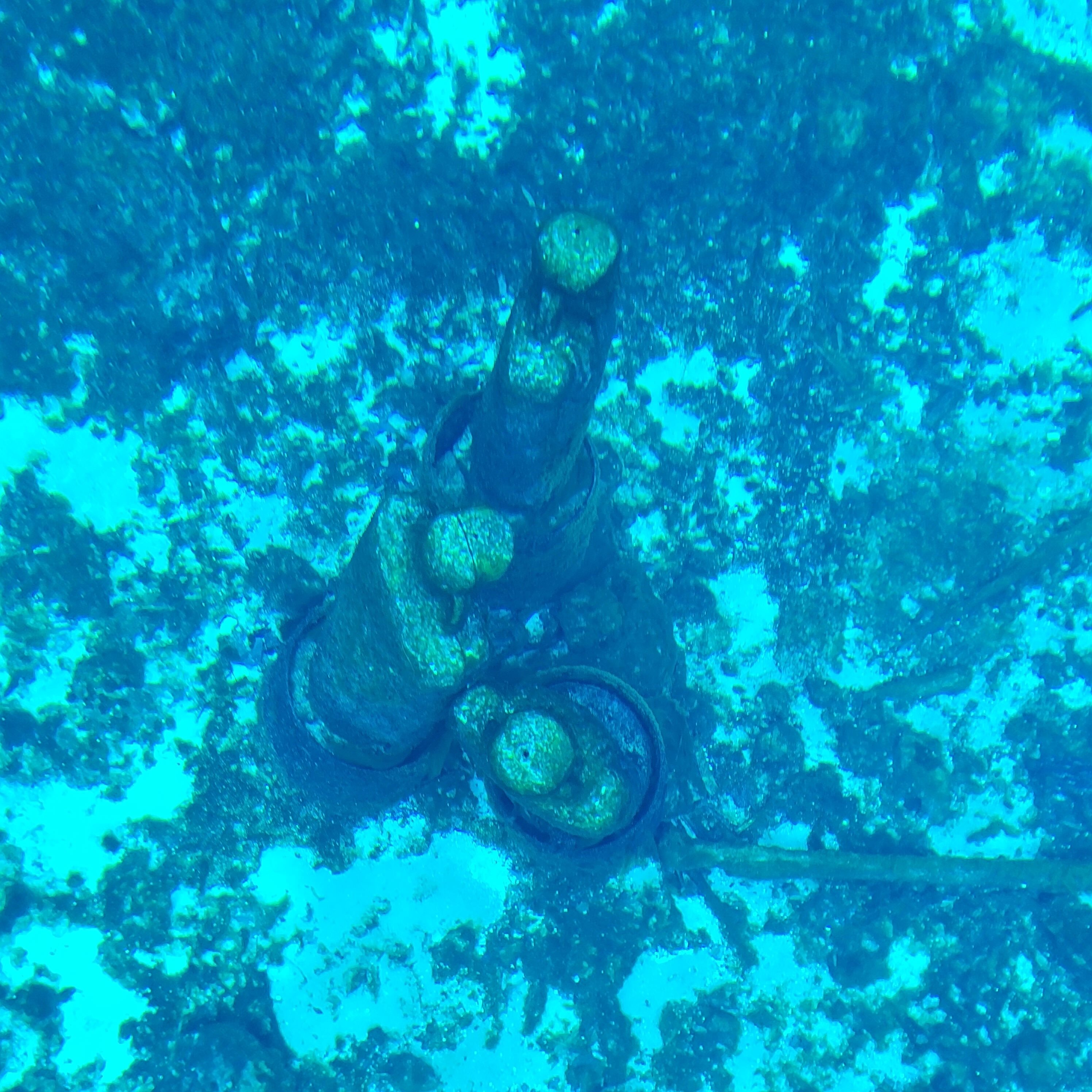 The movie statues under the water at Blue Springs state park