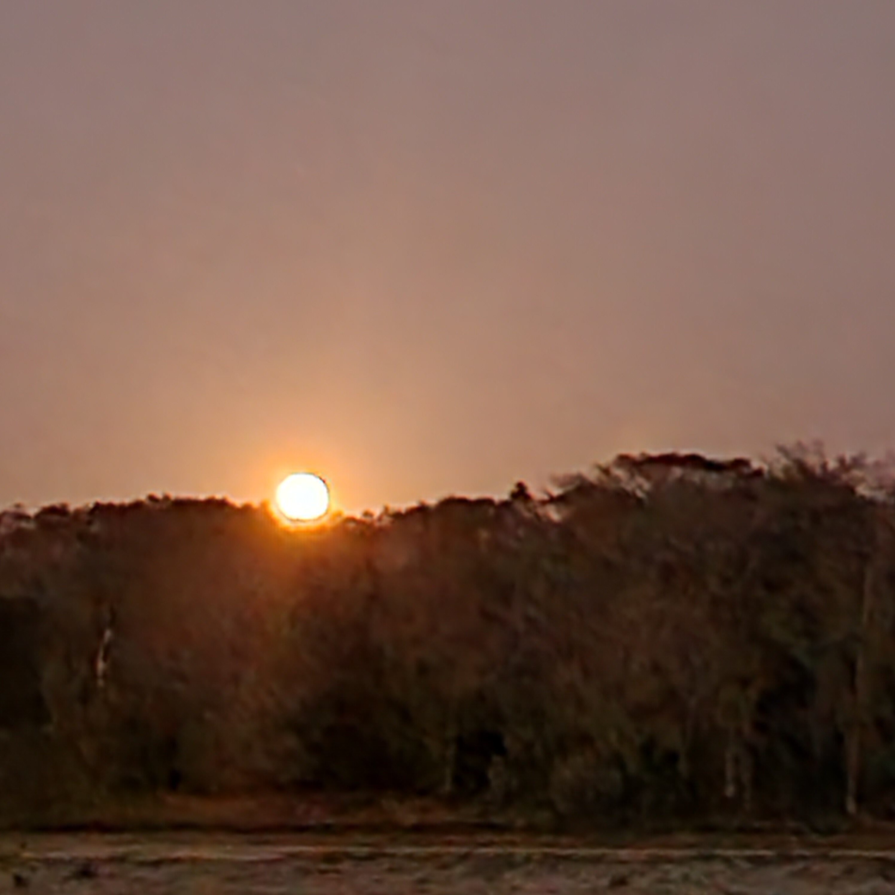 One of the many sunsets over orange lake