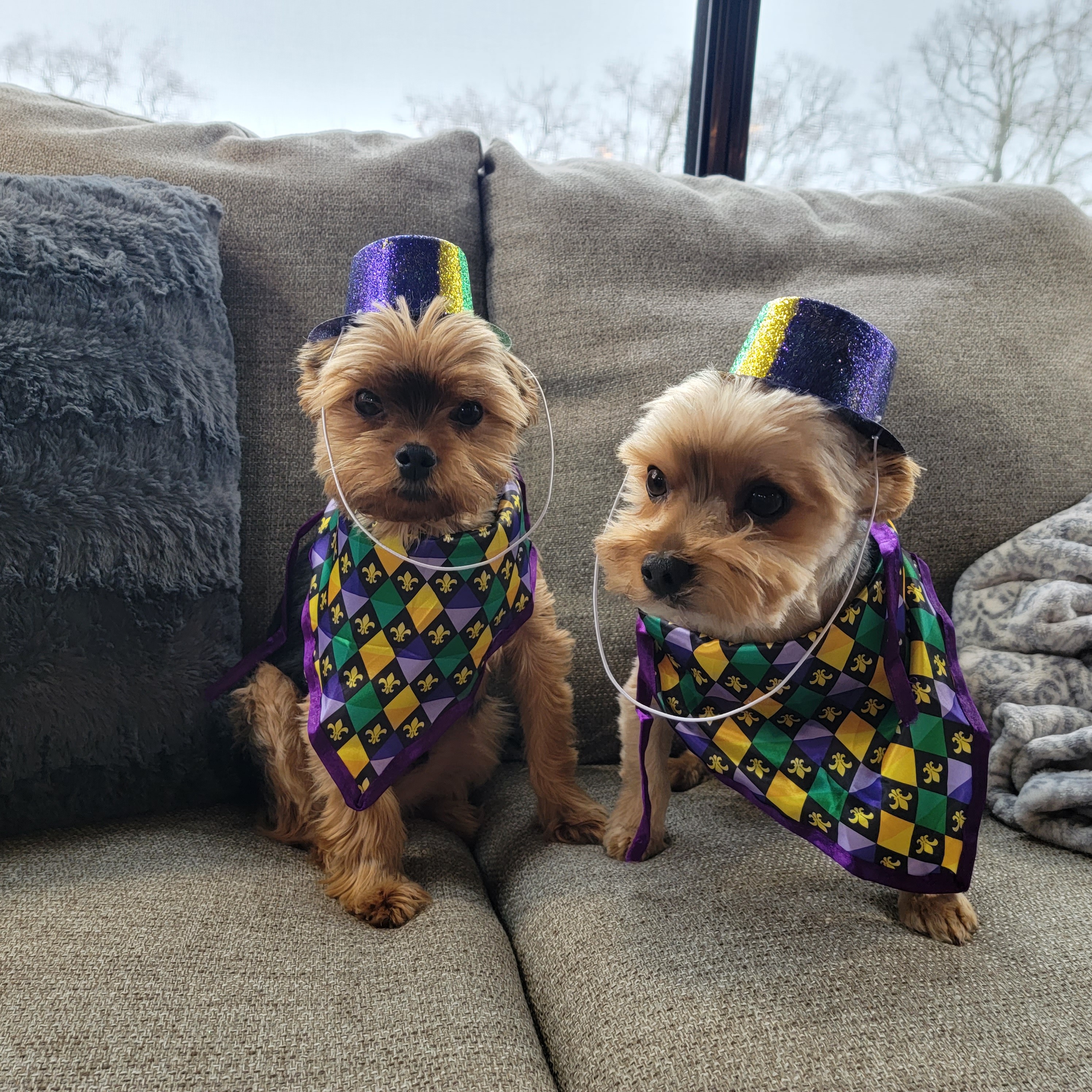 Mardi Gras in Mississippi blog post