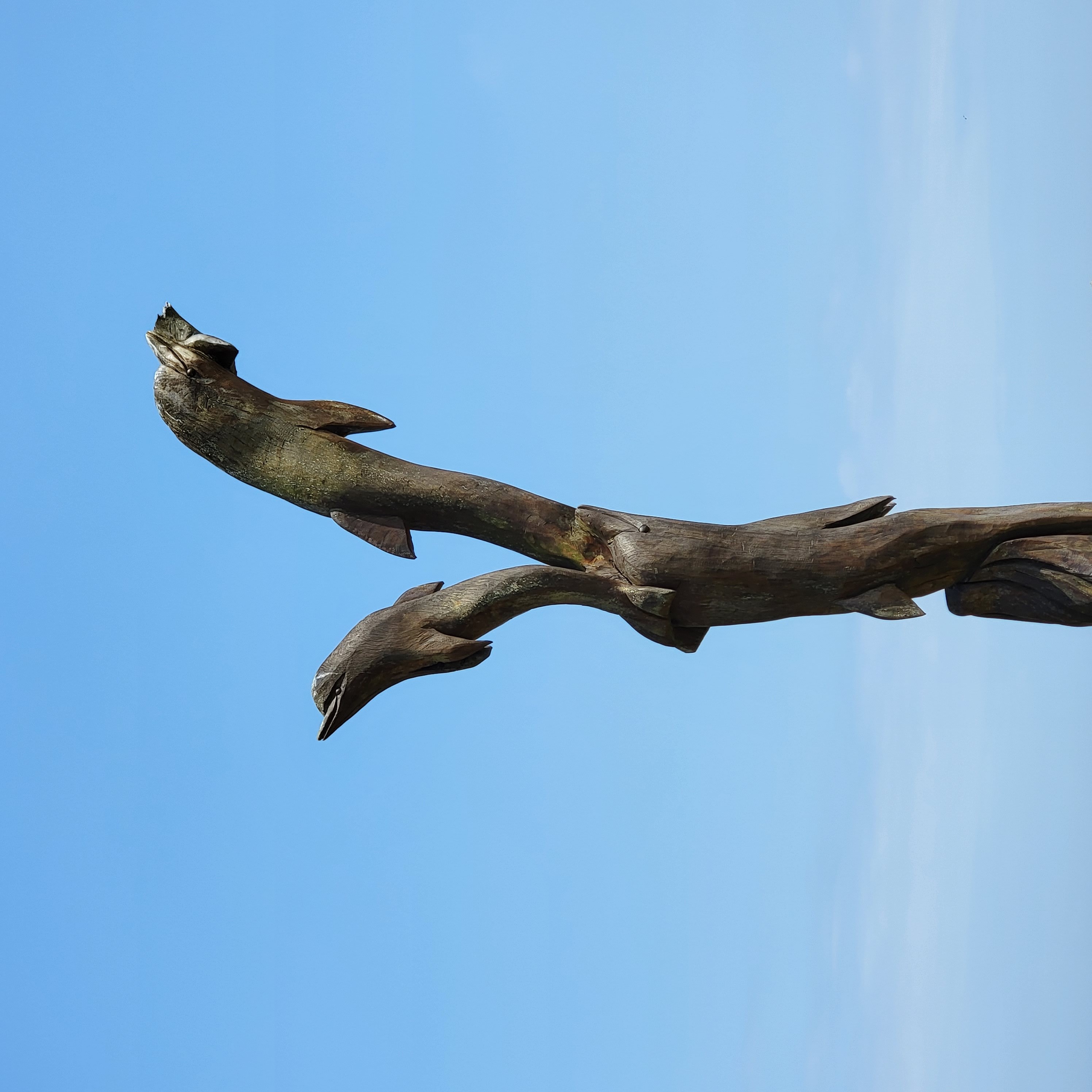 Missing Mississippi blog post