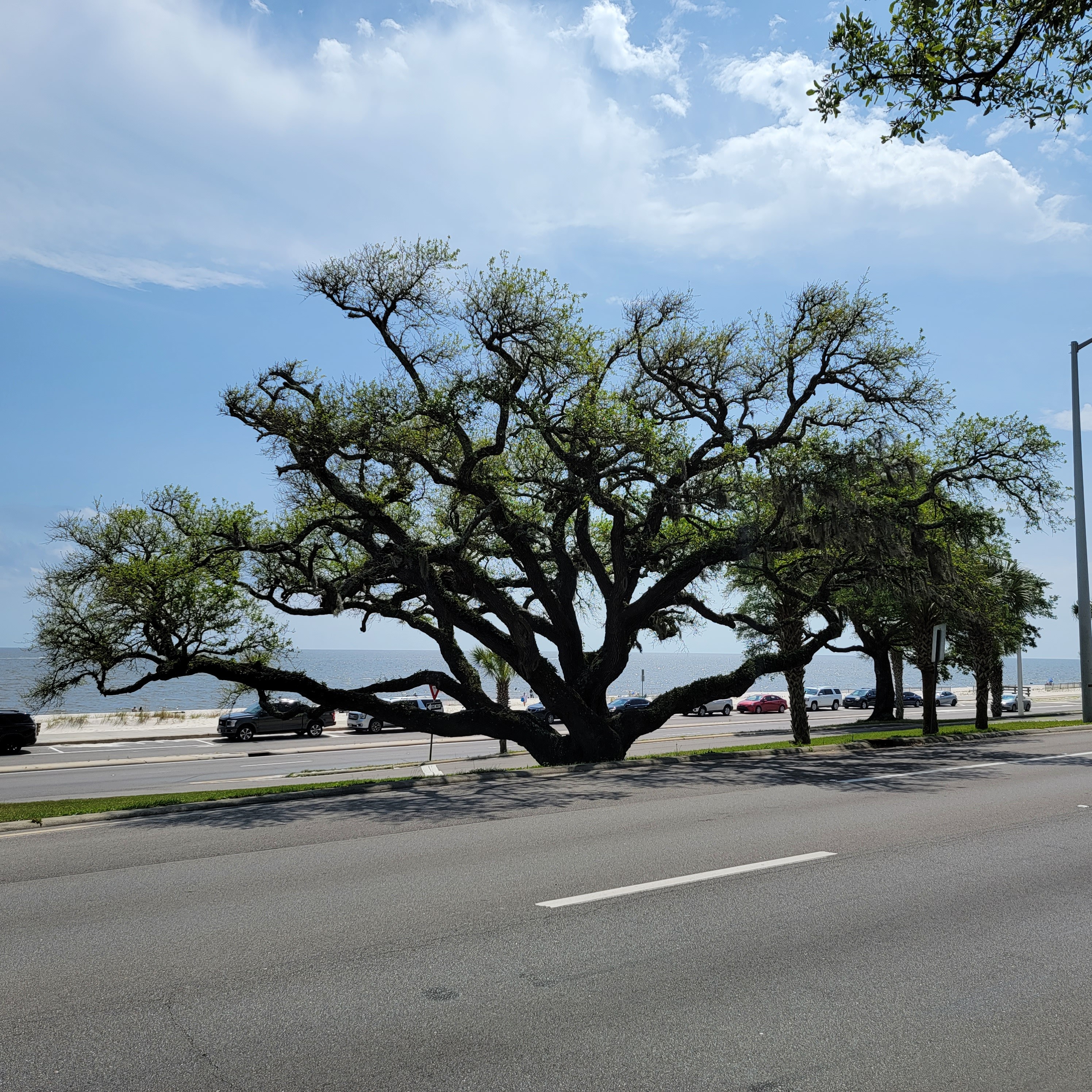 Missing Mississippi blog post