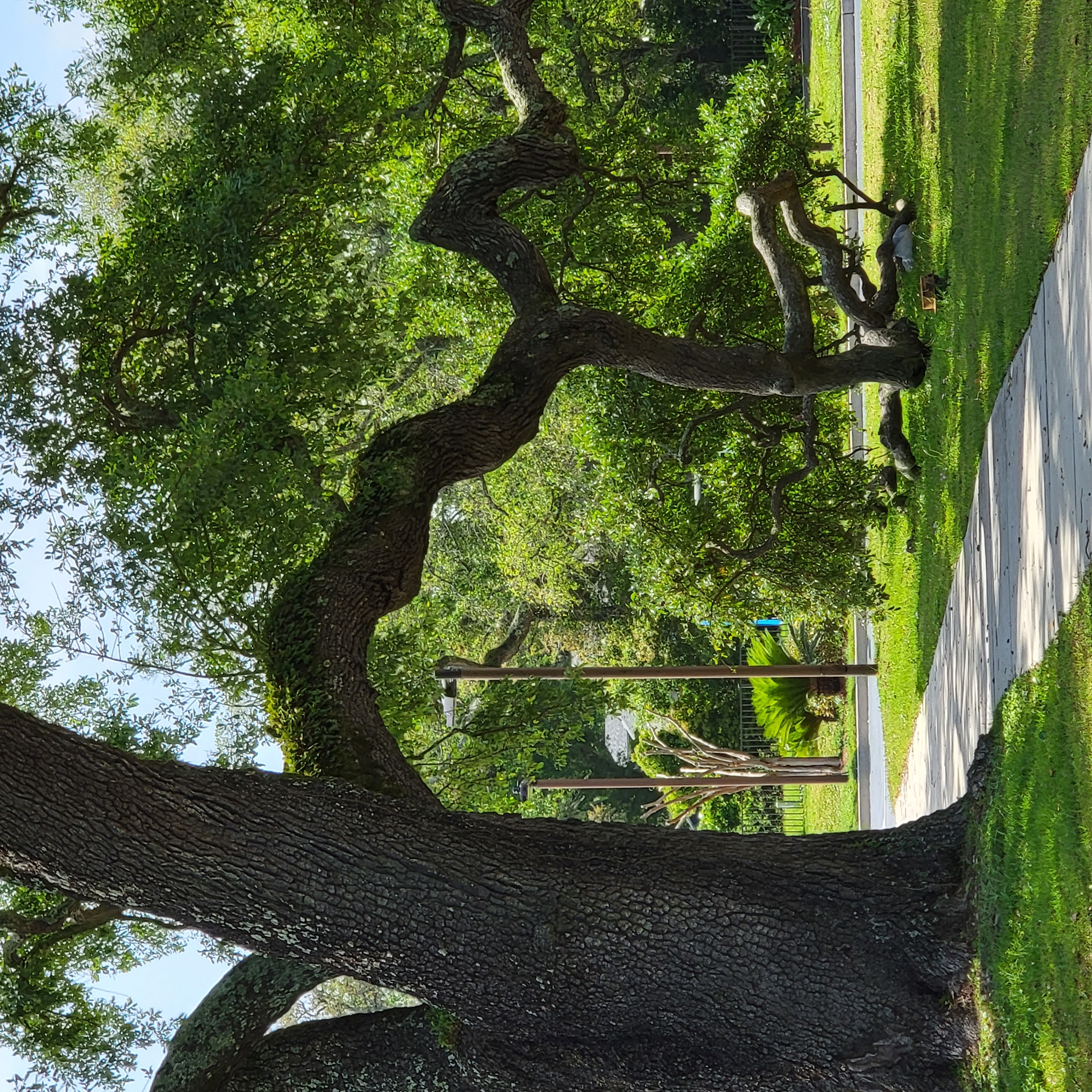 Missing Mississippi blog post