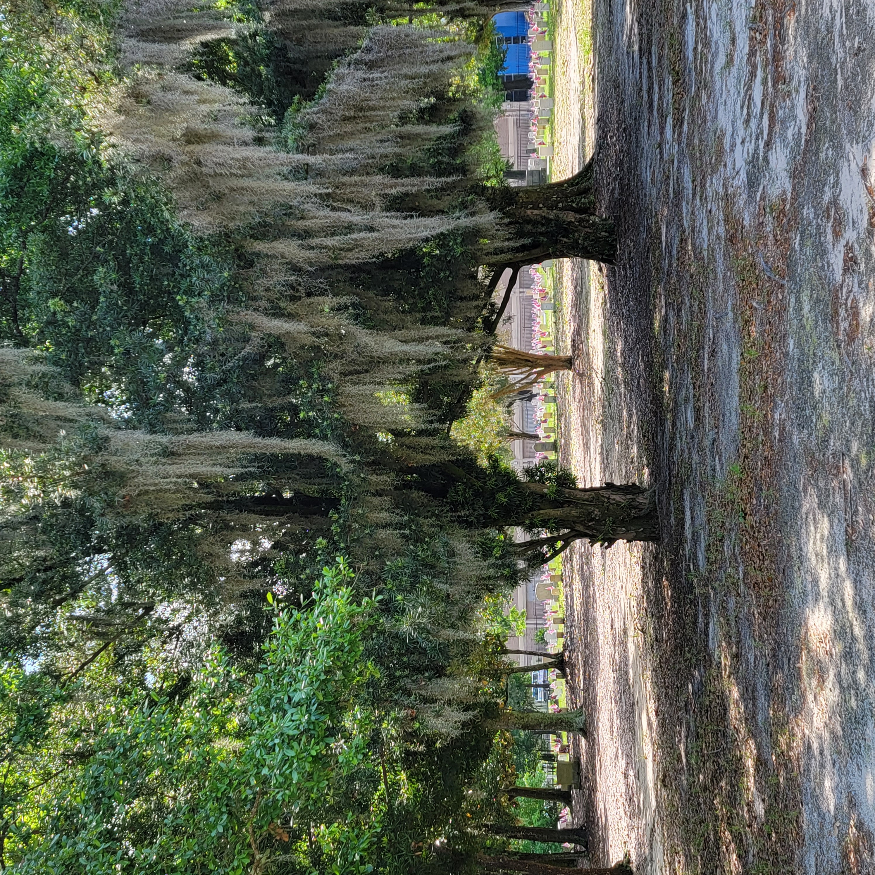 Missing Mississippi blog post