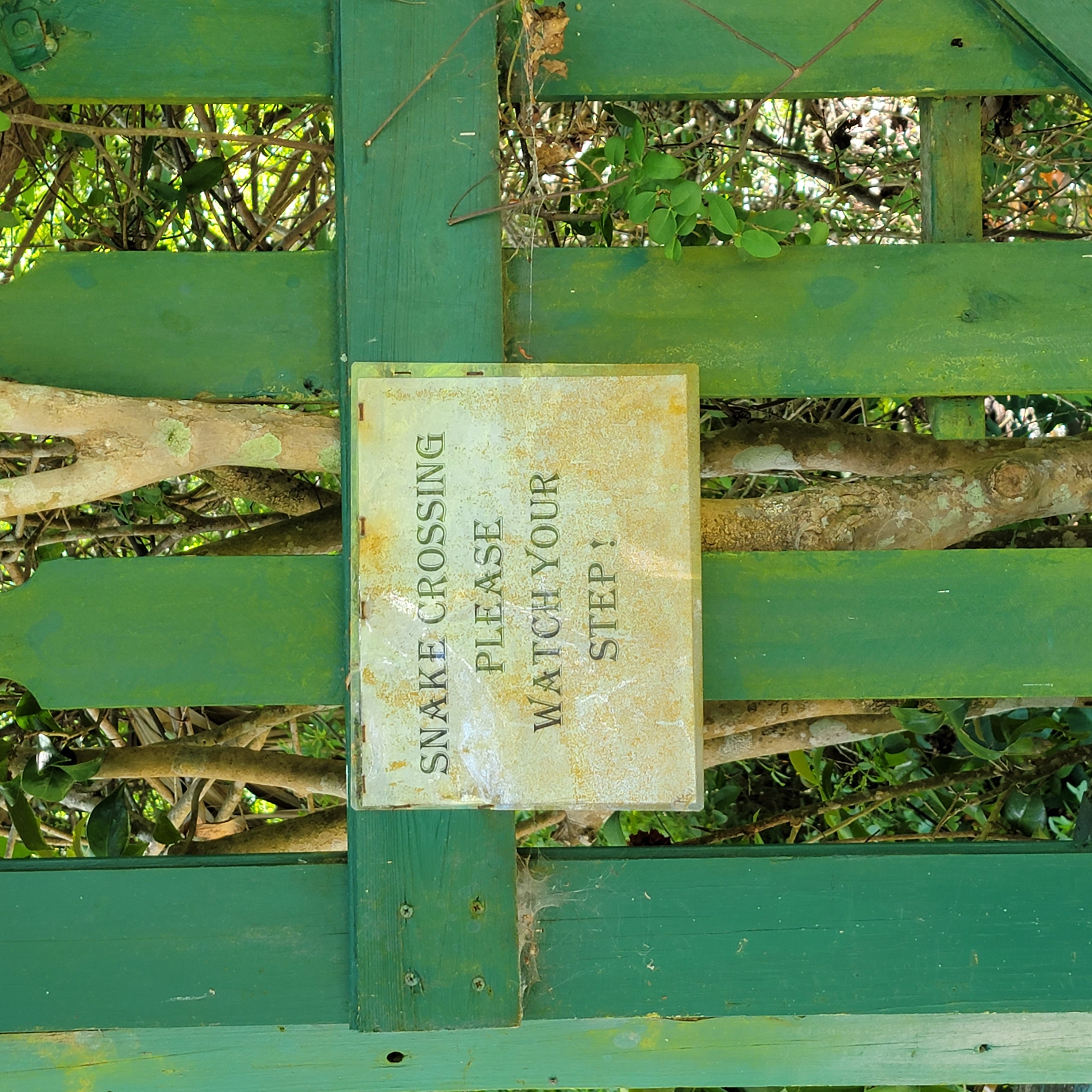 Missing Mississippi blog post