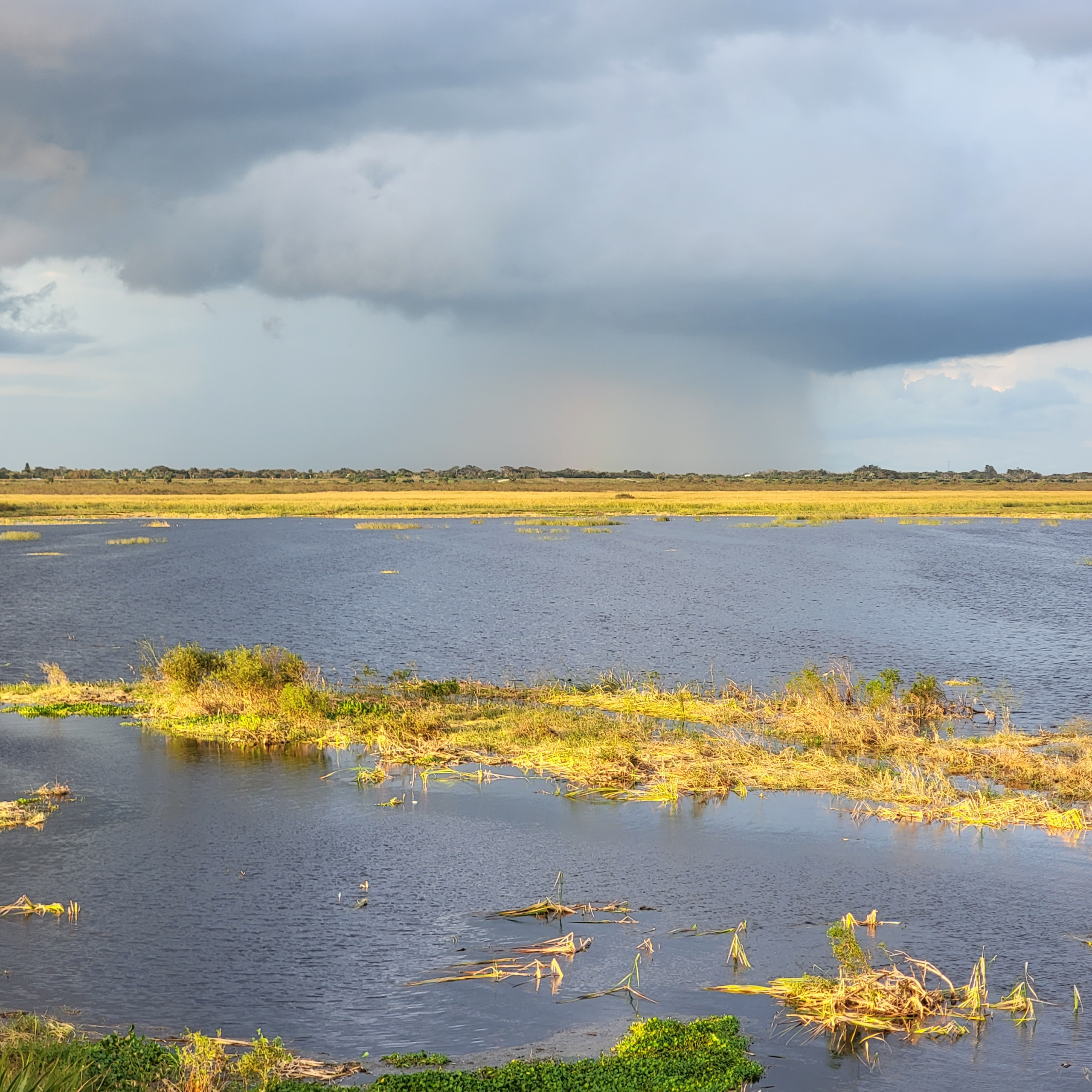 Lake Okeechobee - The Big "O" blog post