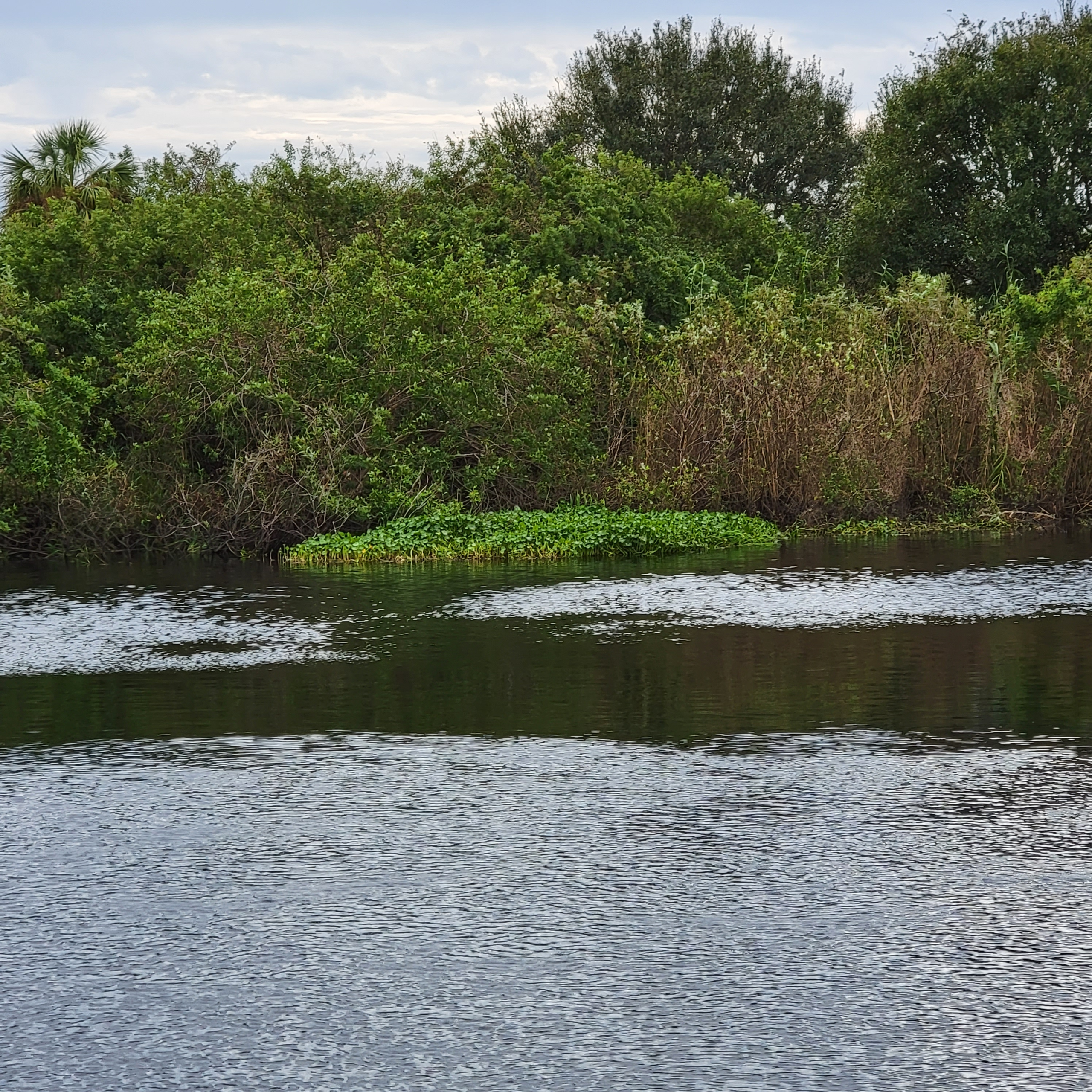 Lake Okeechobee - The Big "O" blog post