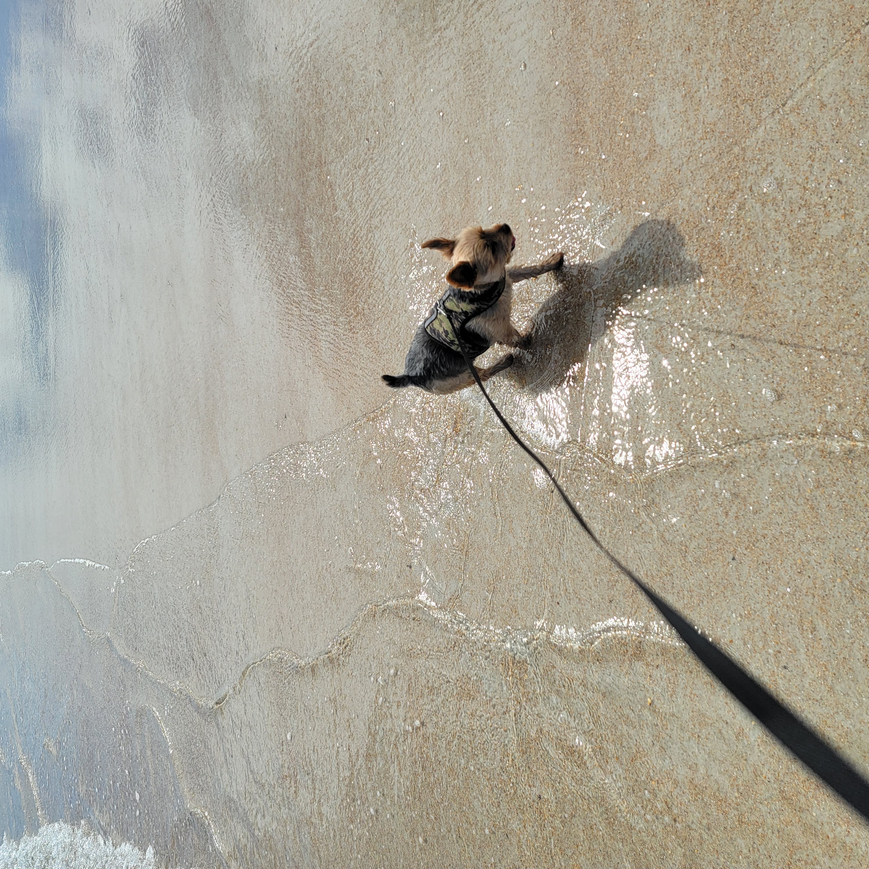 Salty St. Augustine blog post