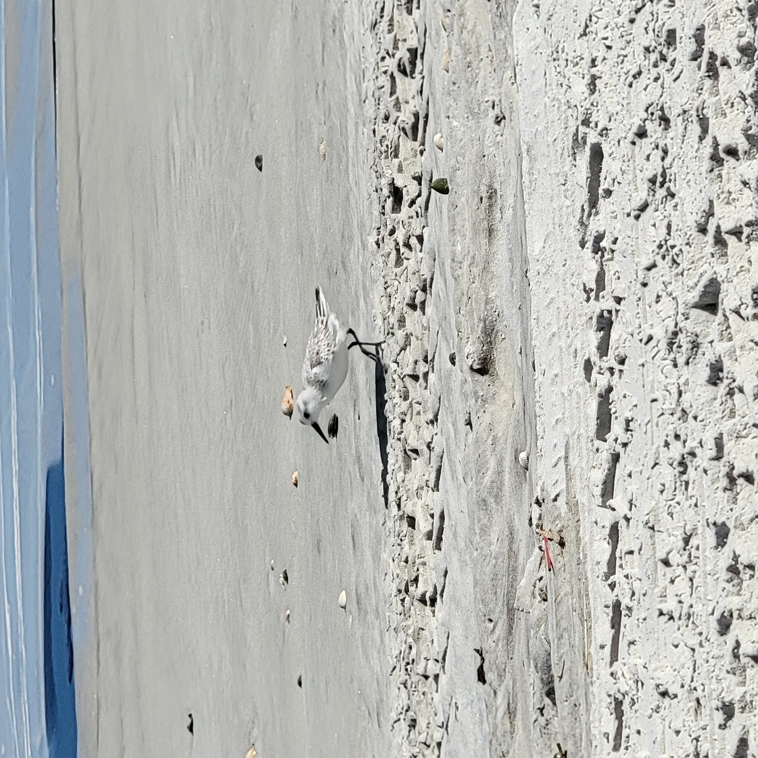 Salty St. Augustine blog post