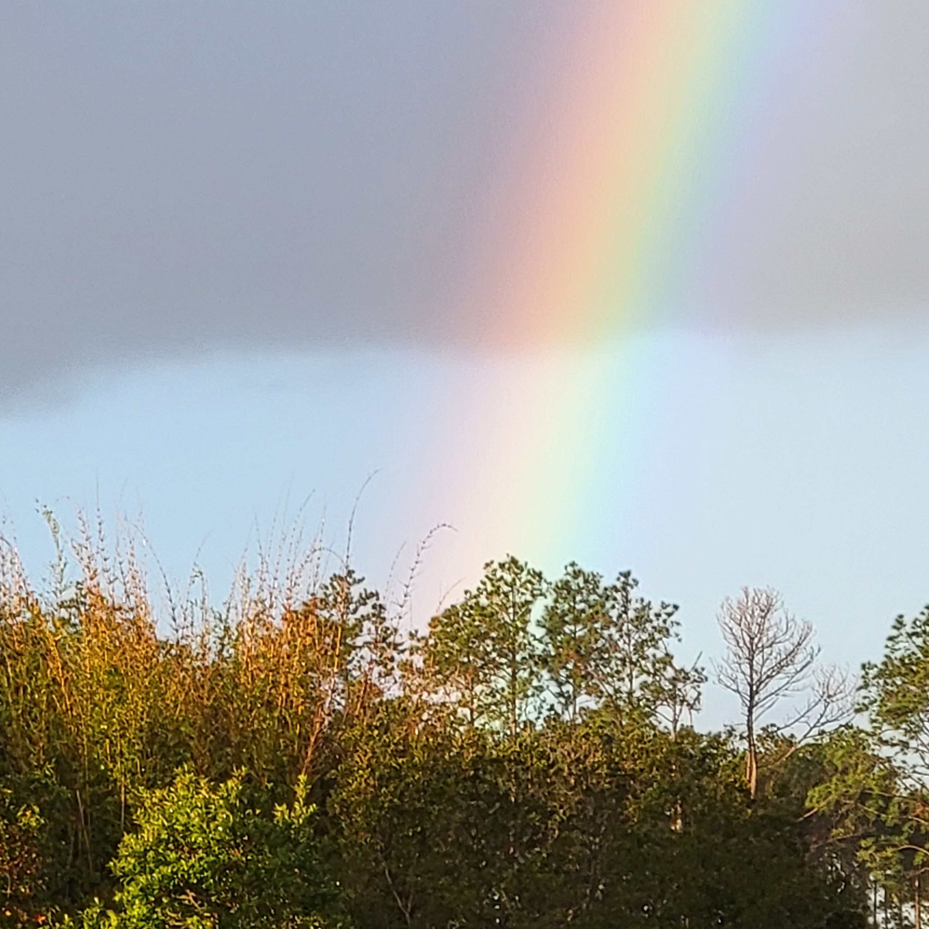 Salty St. Augustine blog post