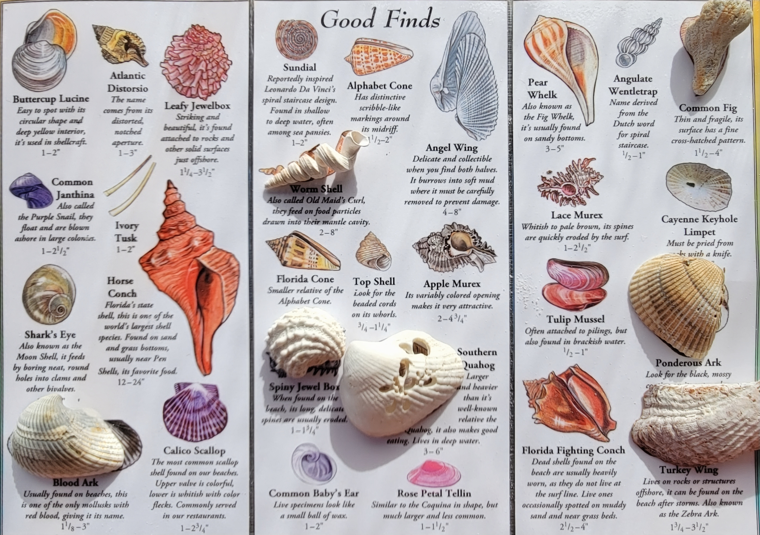 florida fall blog post