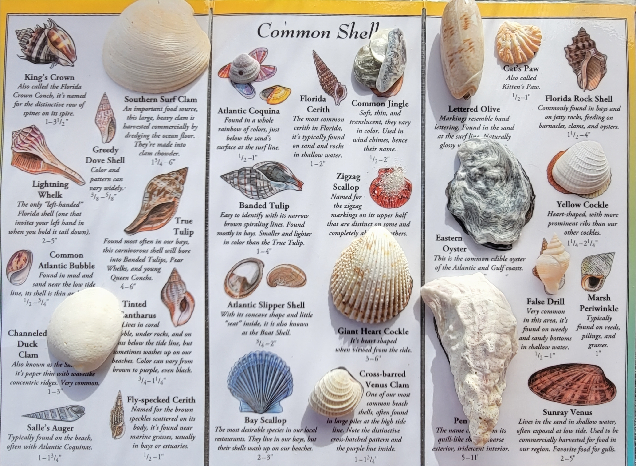 florida fall blog post