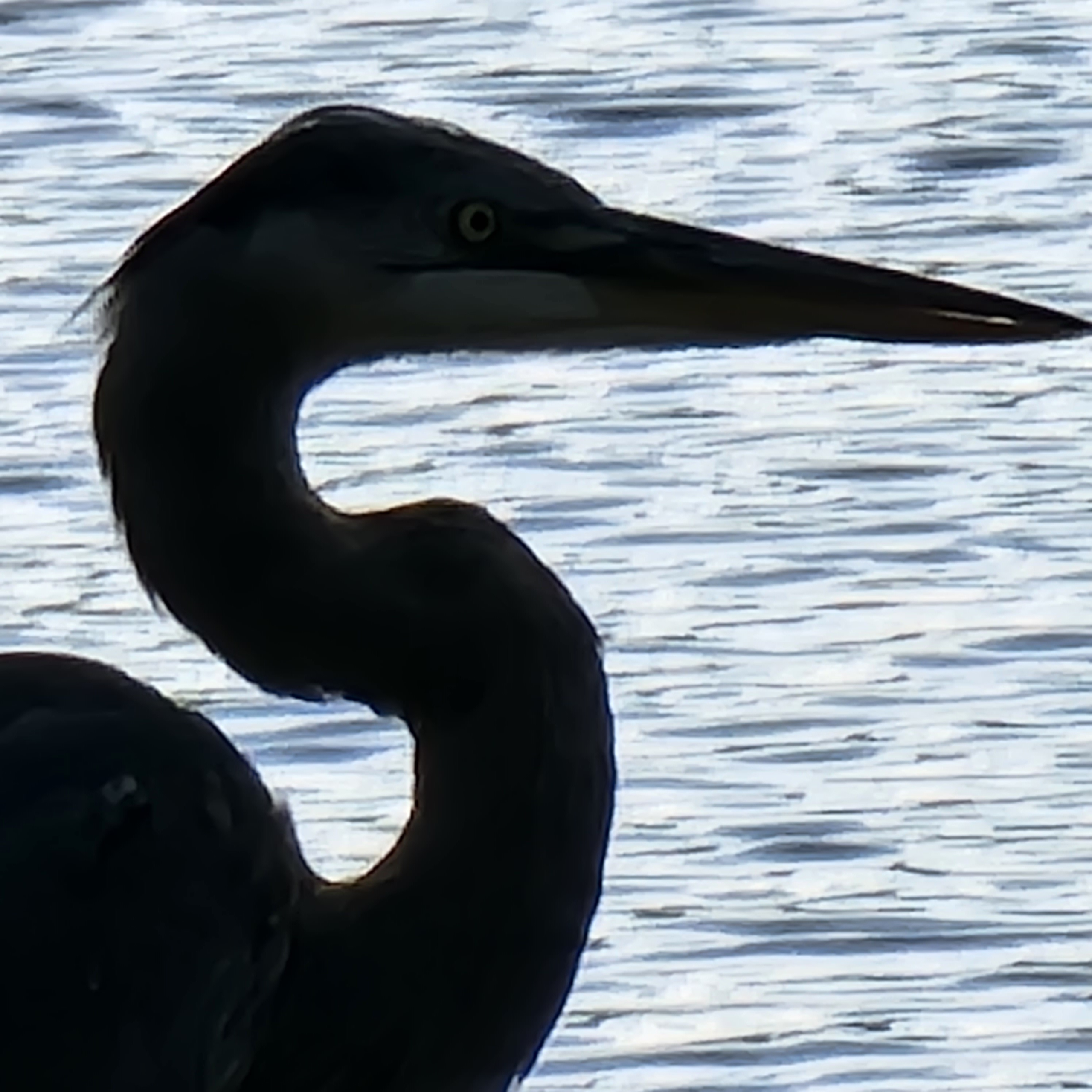 Florida in the Fall is absolutely Fabulous! blog post