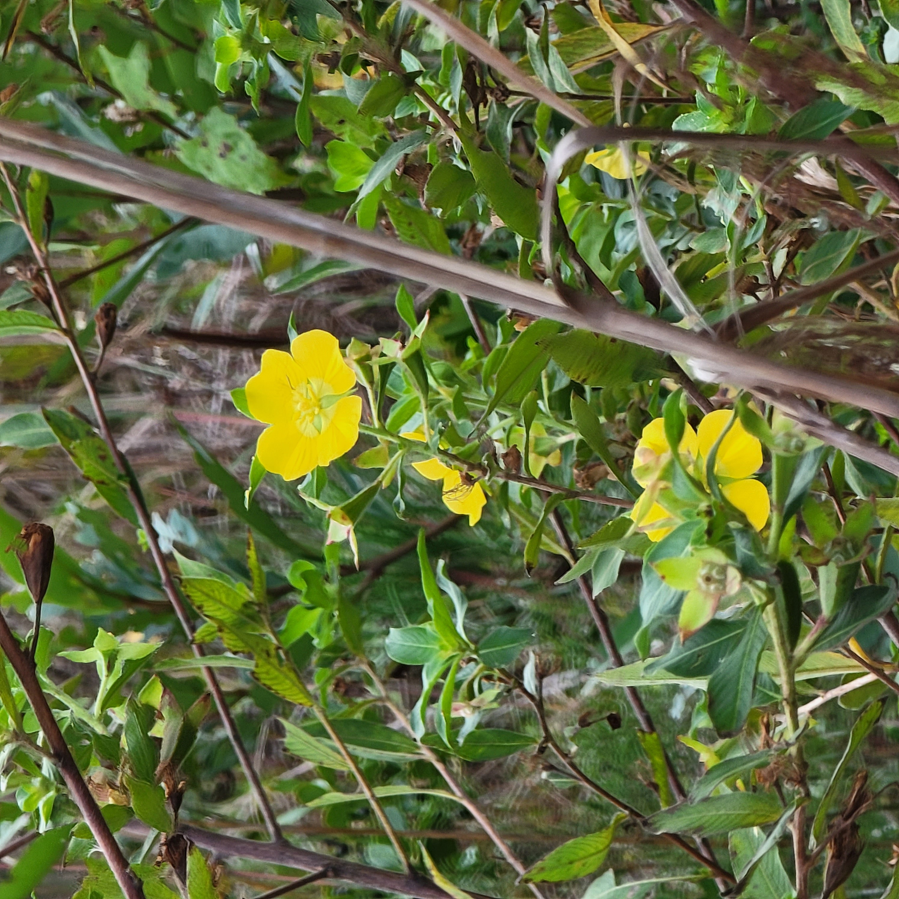 Salty St. Augustine blog post