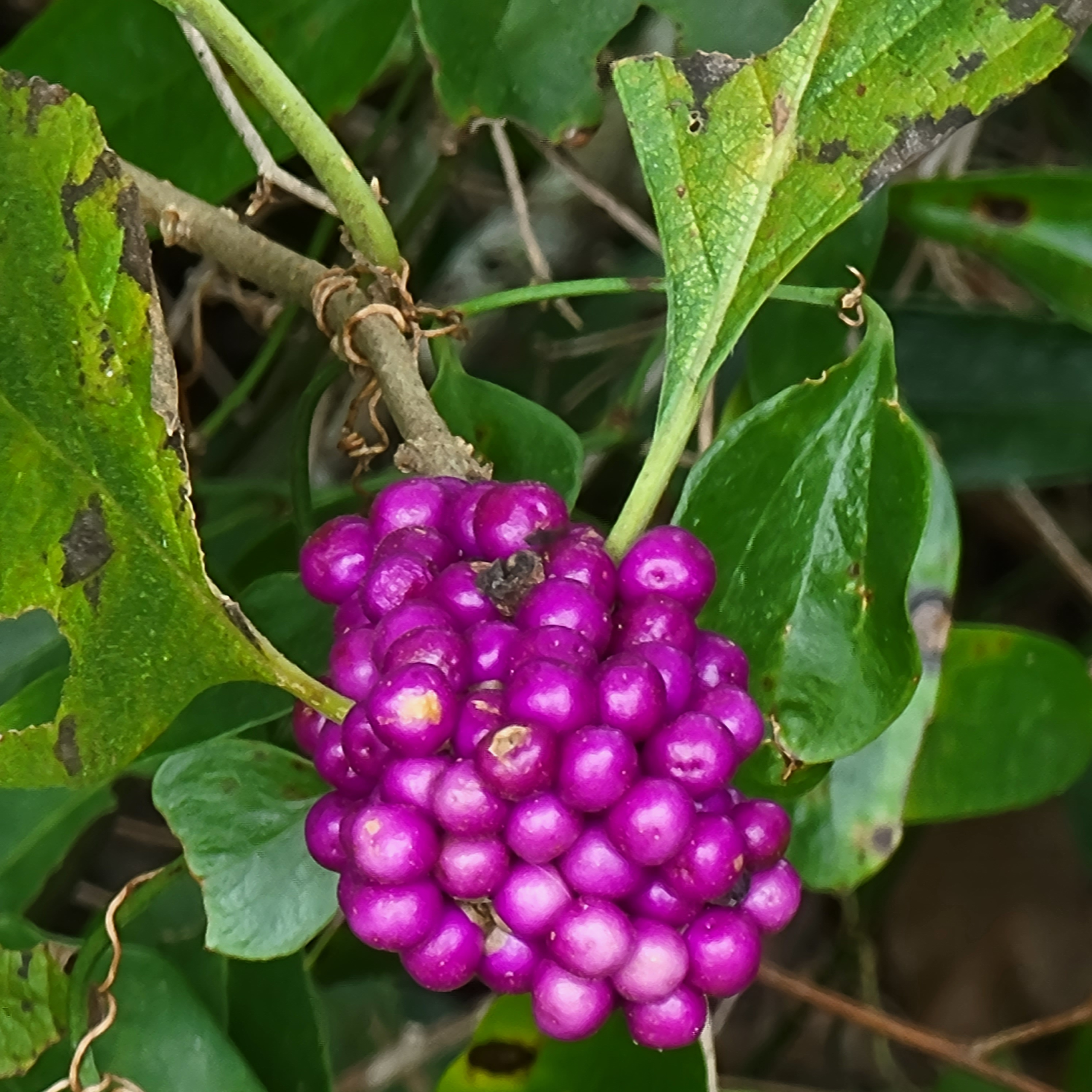 Florida in the Fall is absolutely Fabulous! blog post