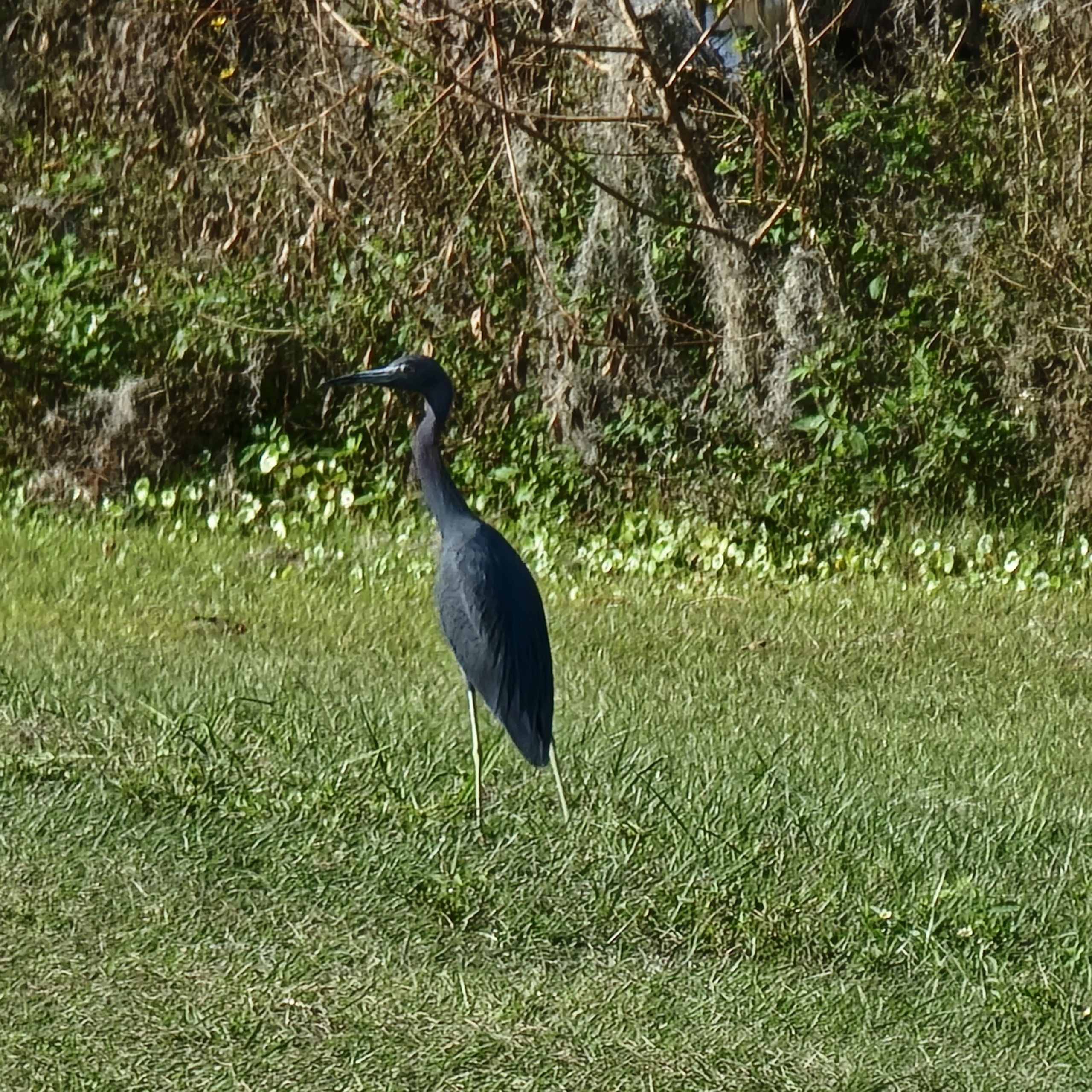 Orange you glad we came to Orange Lake? blog post