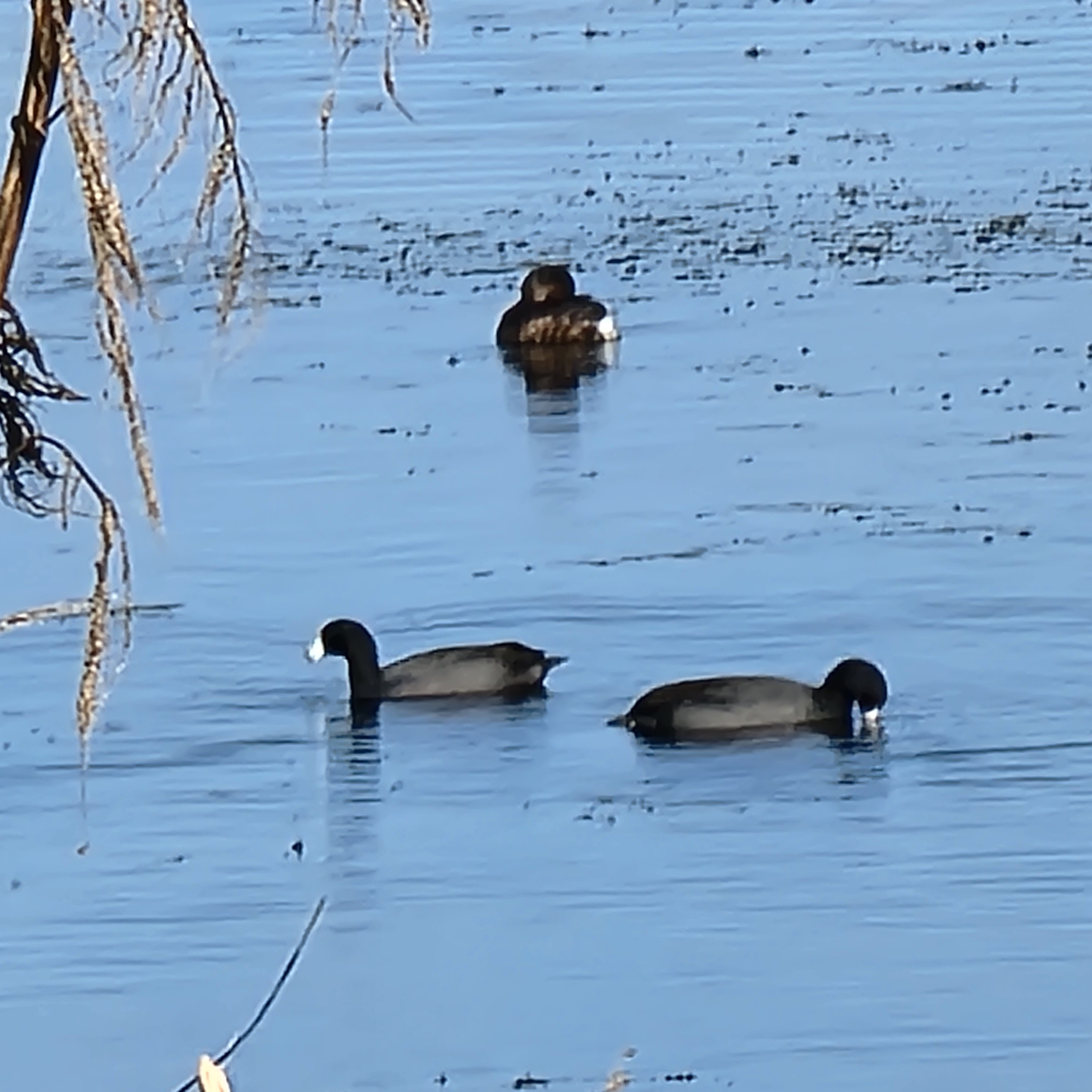 Orange you glad we came to Orange Lake? blog post