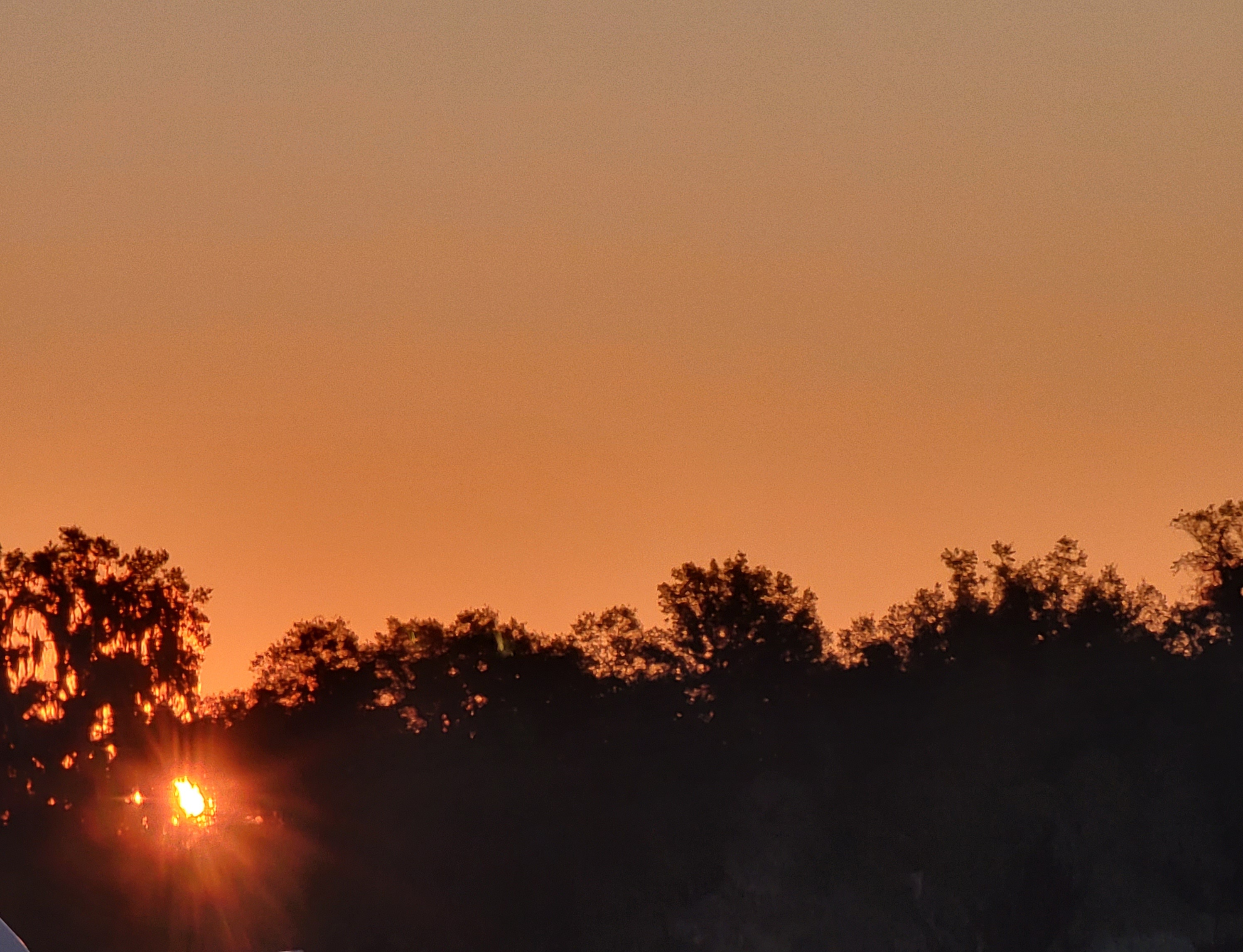Spectacular Florid sunsets