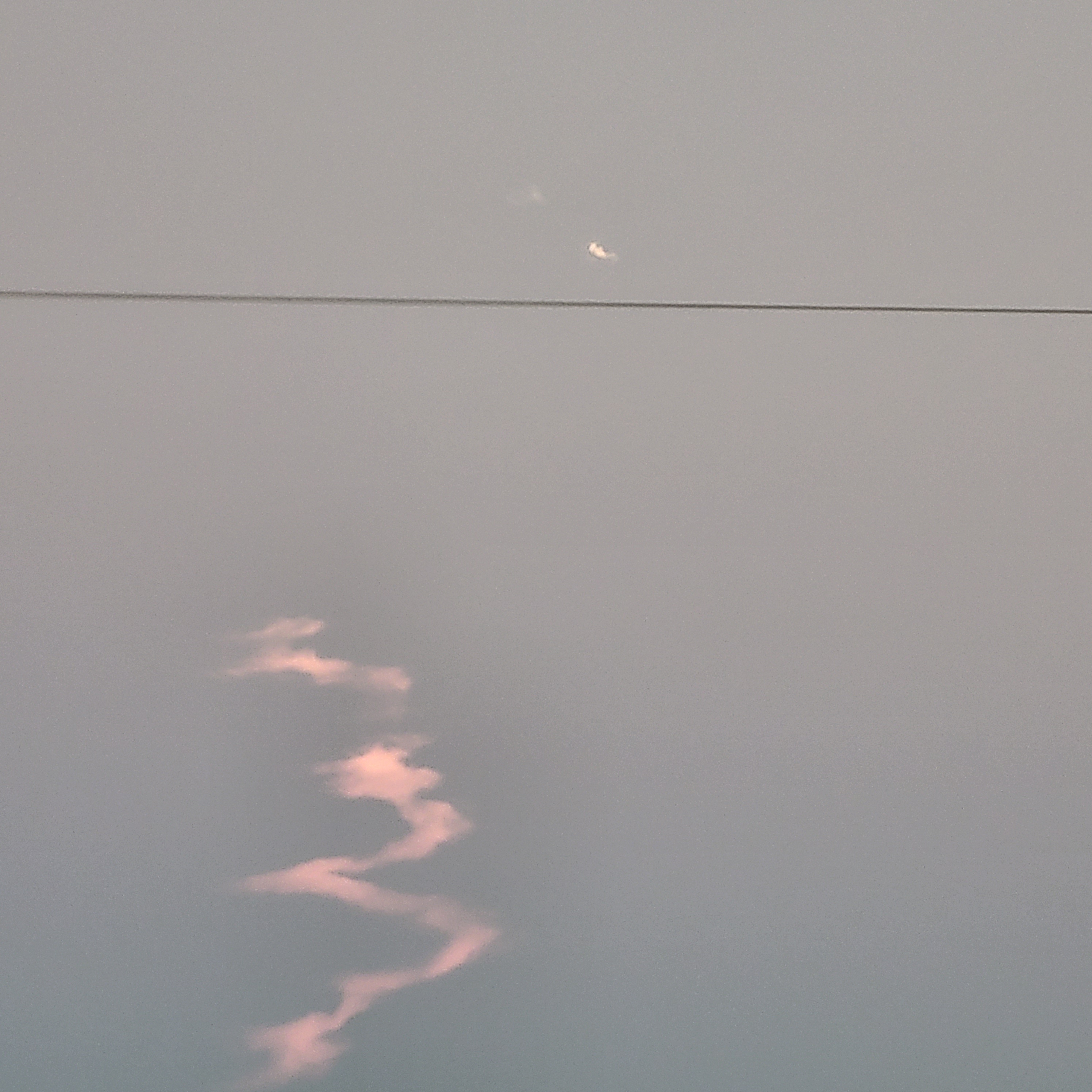 Watching the trail from a spacex launch in middle Florida
