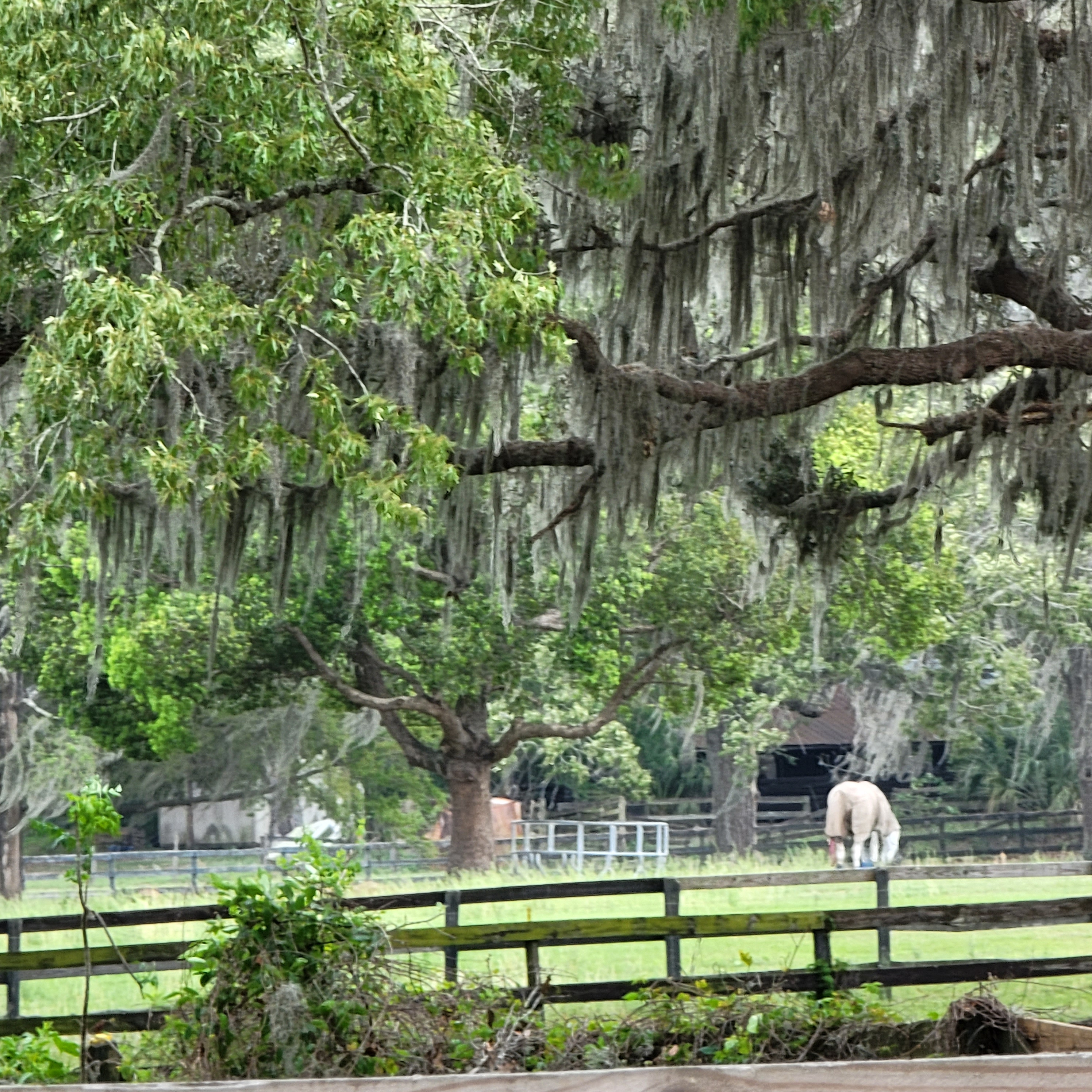 Our neighborhood right outside the RV park